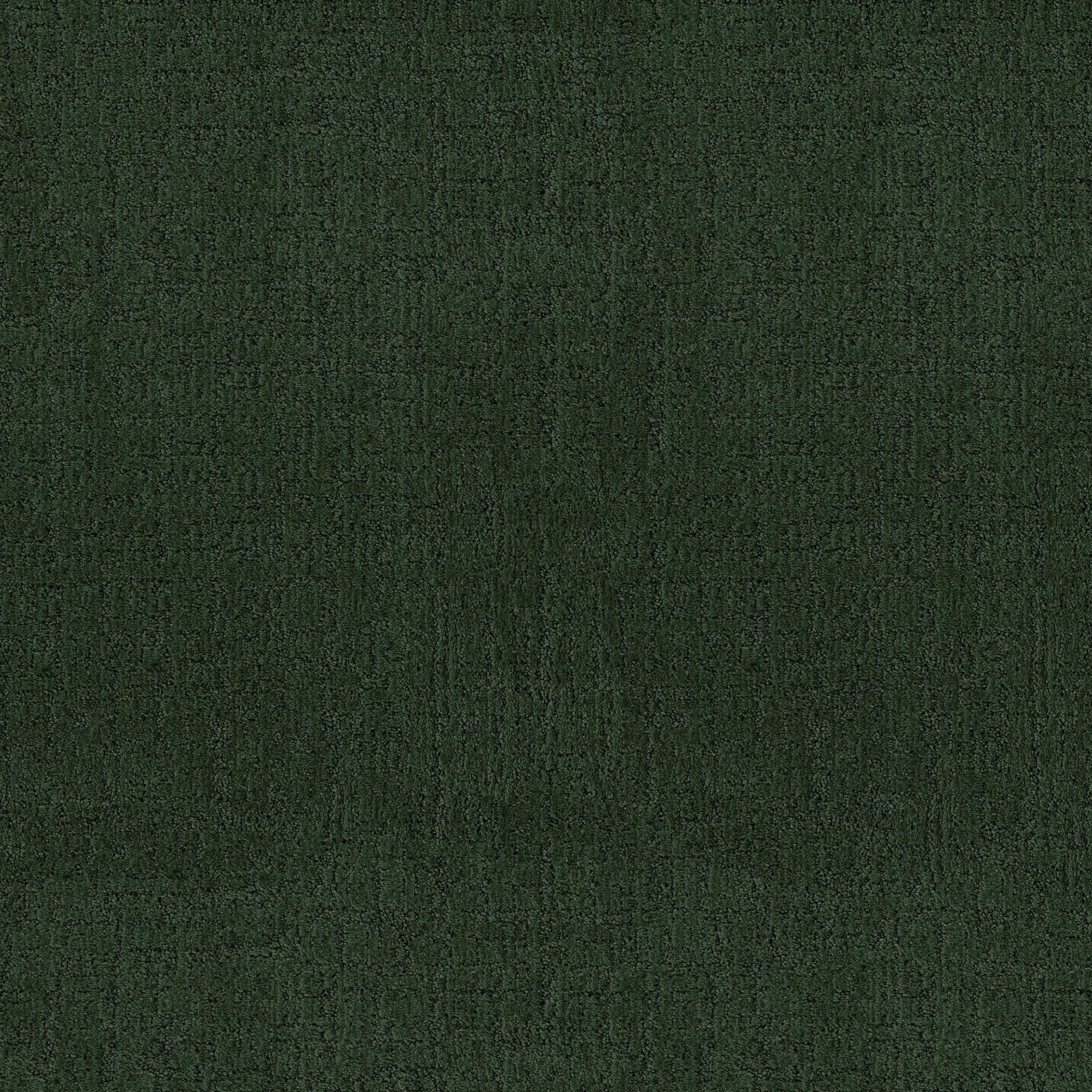 Indulgent - 100% ANSO® High Performance Nylon in Deep Pine