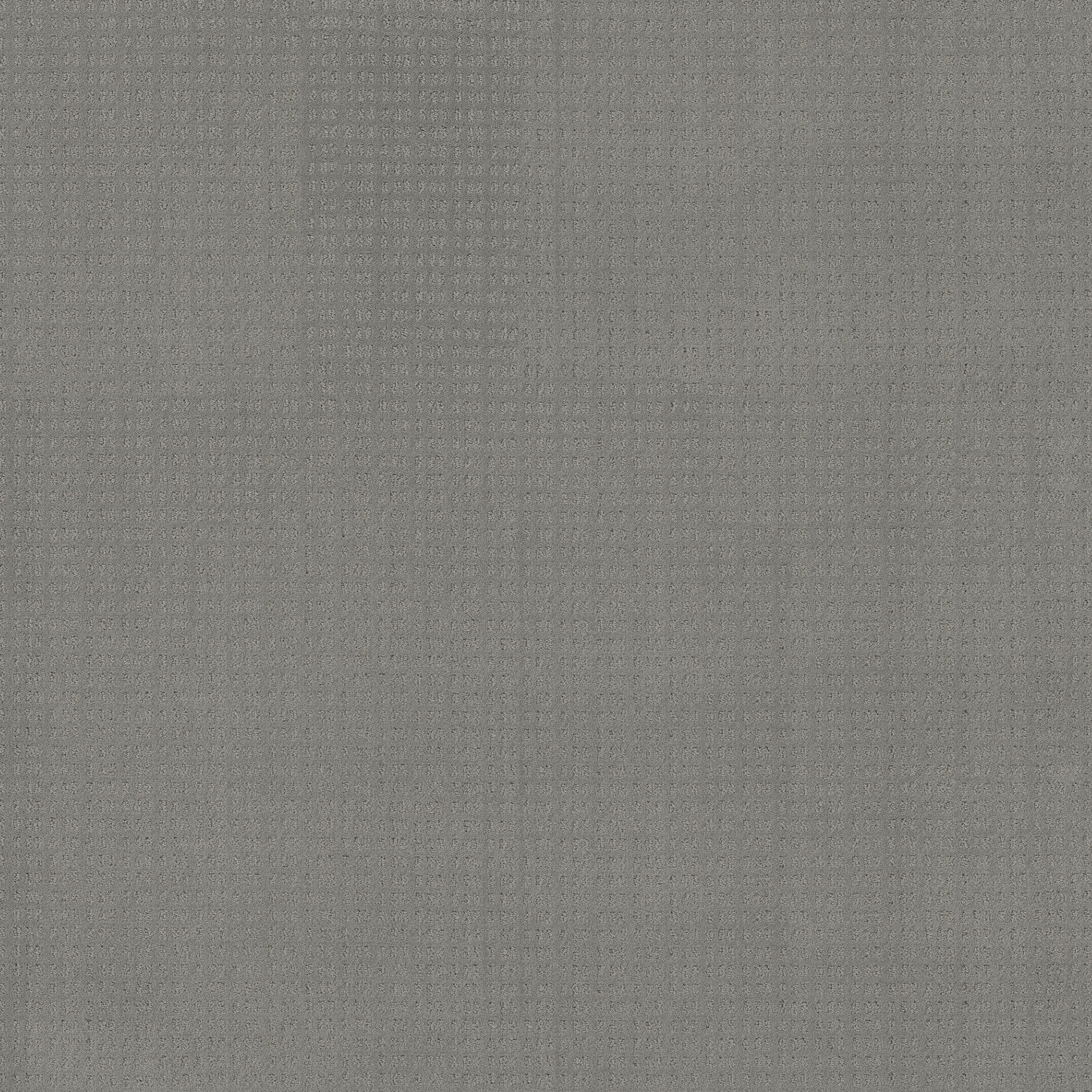 ESSENTIAL NOW GREY FOX MAIN