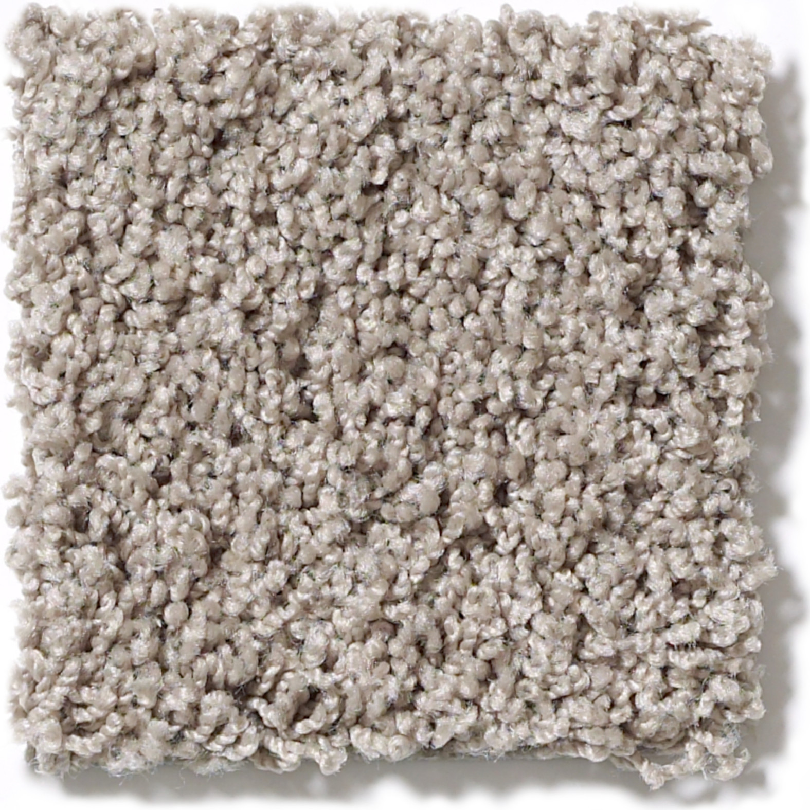 WEATHERFORD TASTEFUL TAUPE SWATCH