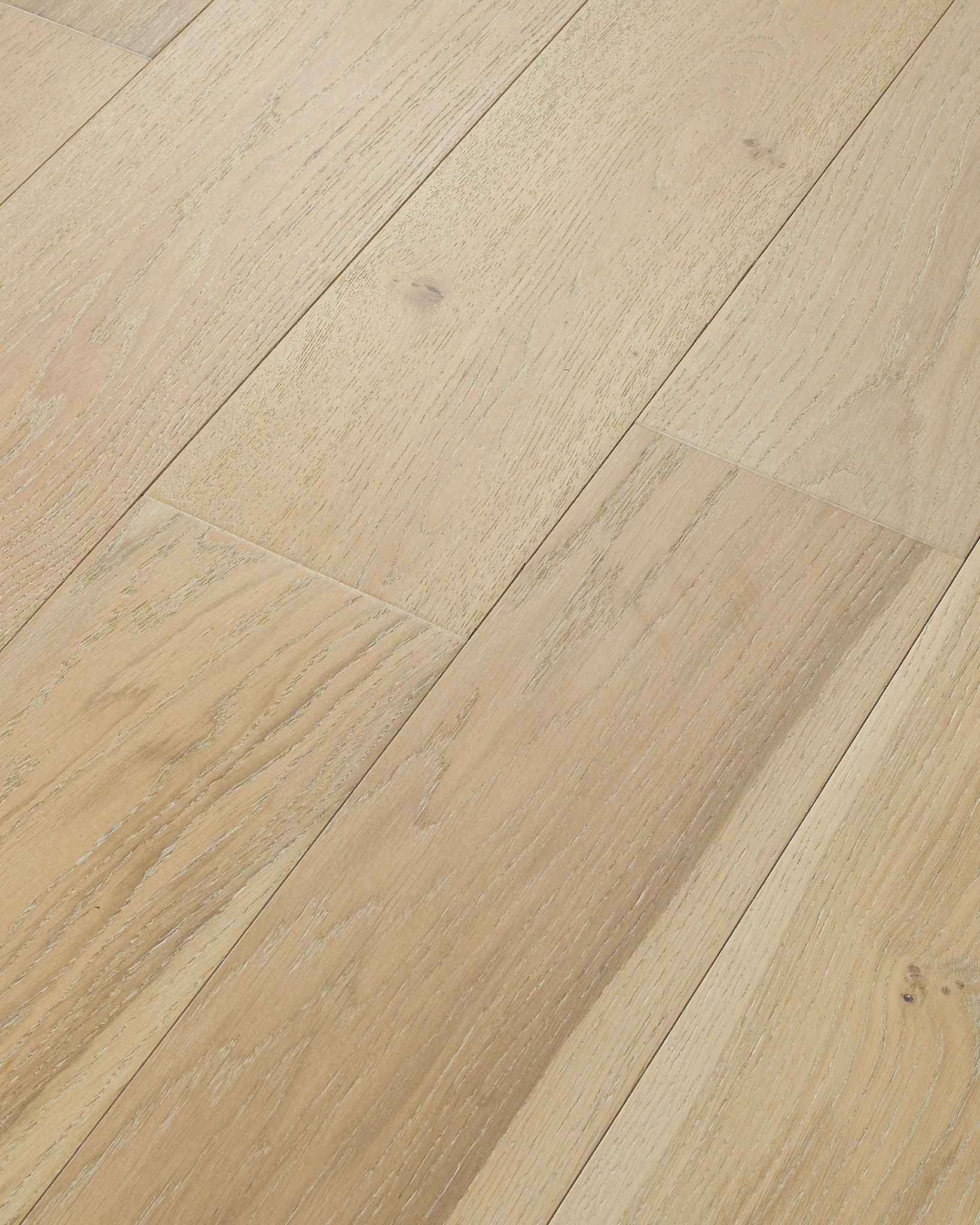 NOBLE HALL COUNTESS ANGLED