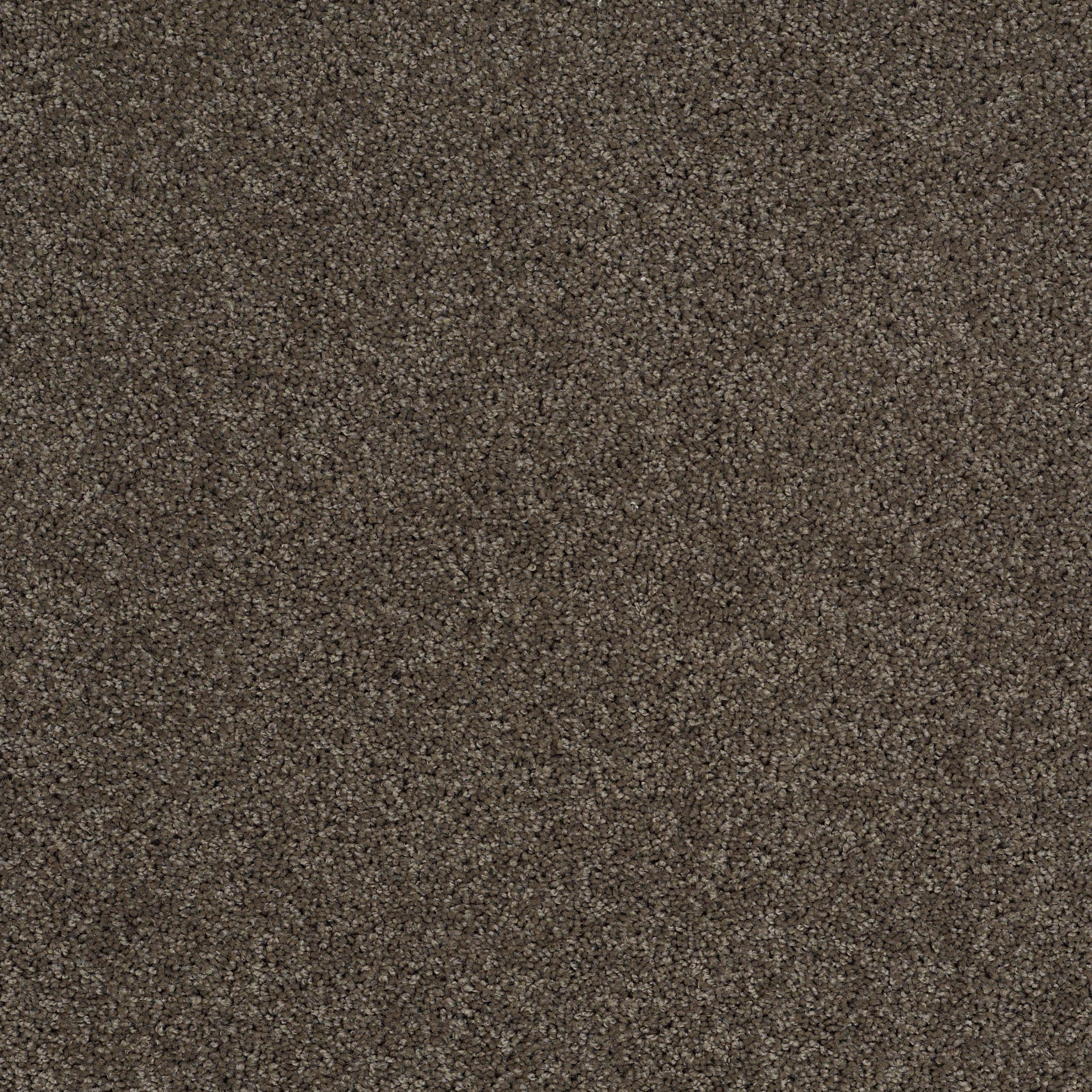 SOURCE GRAPHITE MAIN