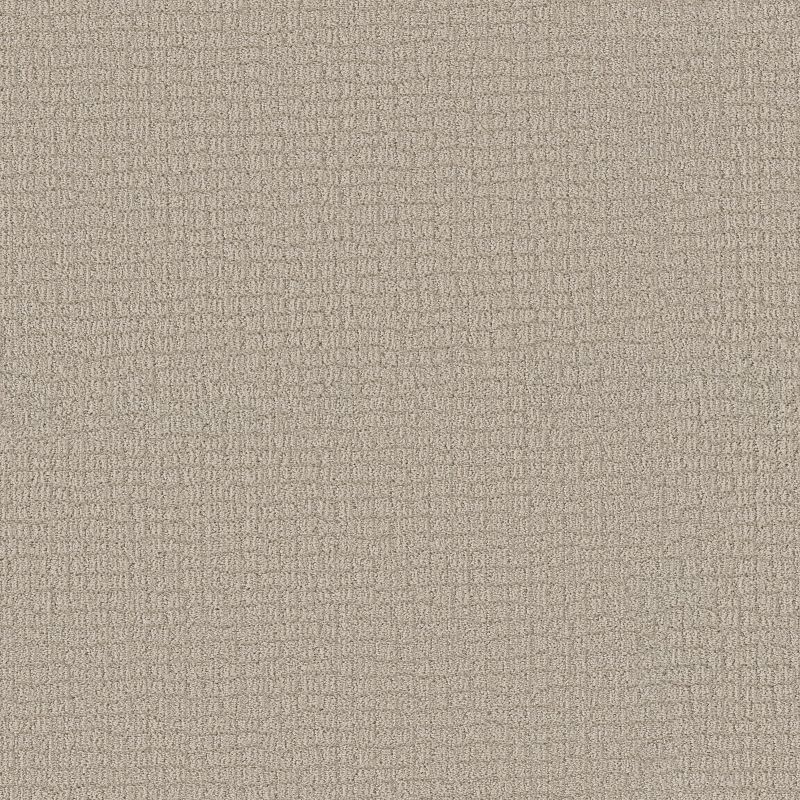 Path Home 5E577 Broadloom Carpet in River Birch color, 12ft width, made of 100% PET material