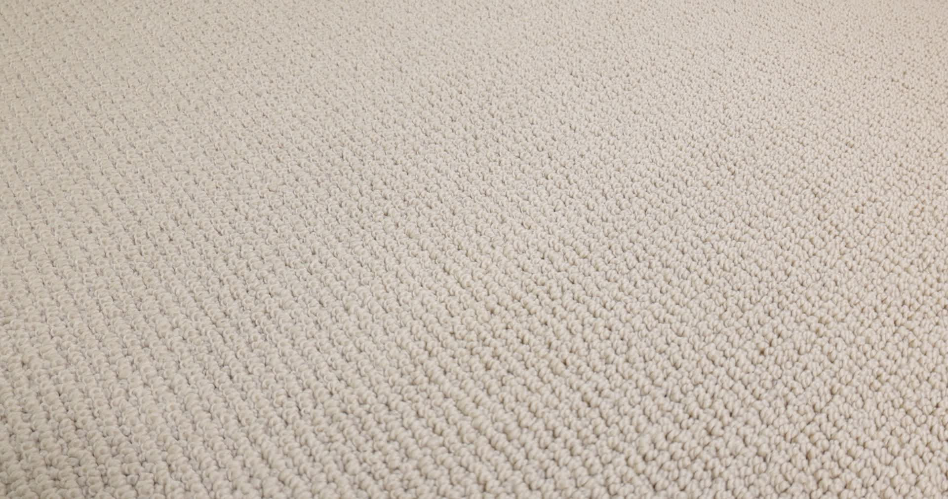 PURRFECTION WHITE SAND 360PROD