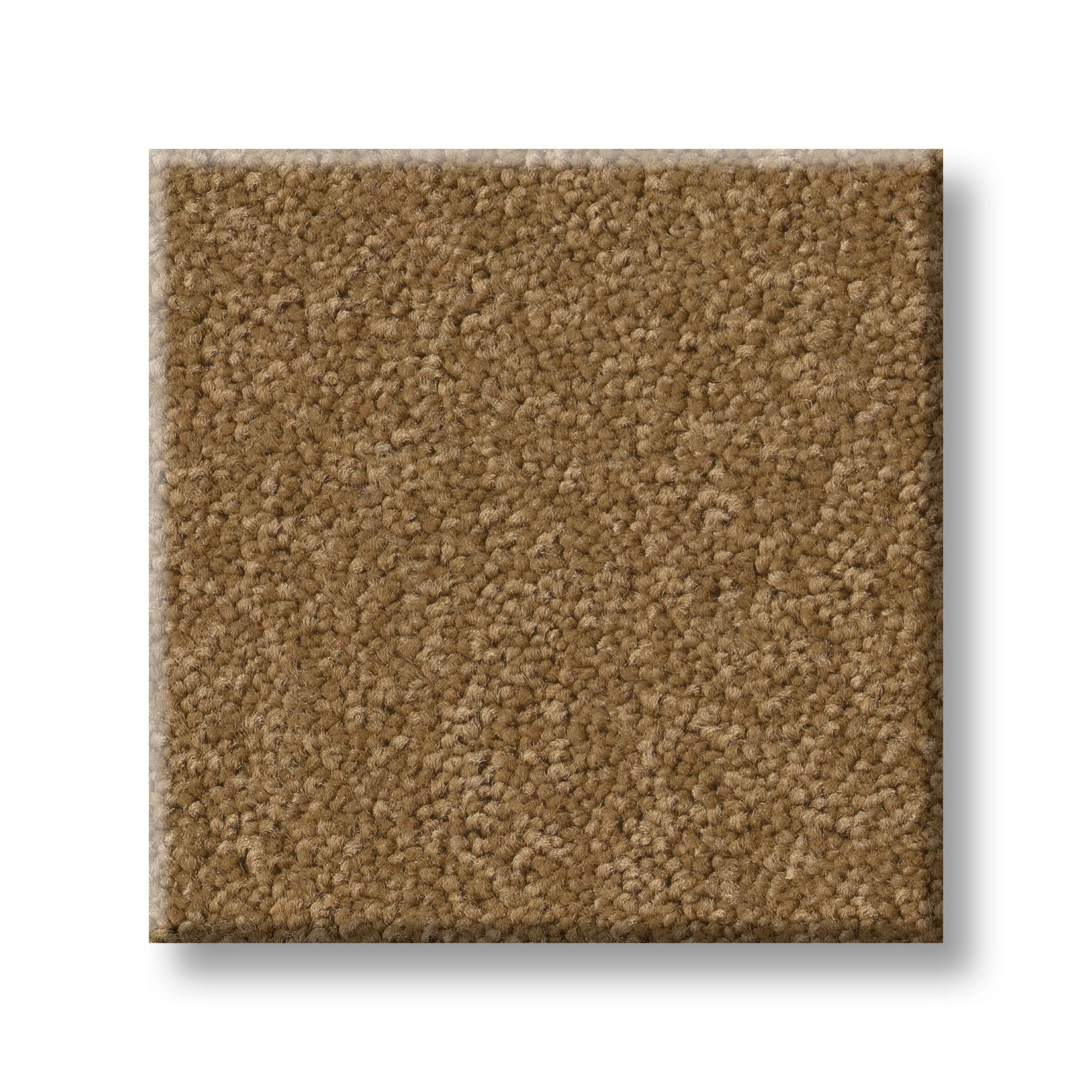 TIMELESS APPEAL III 12' PEANUT BRITTLE SWATCH