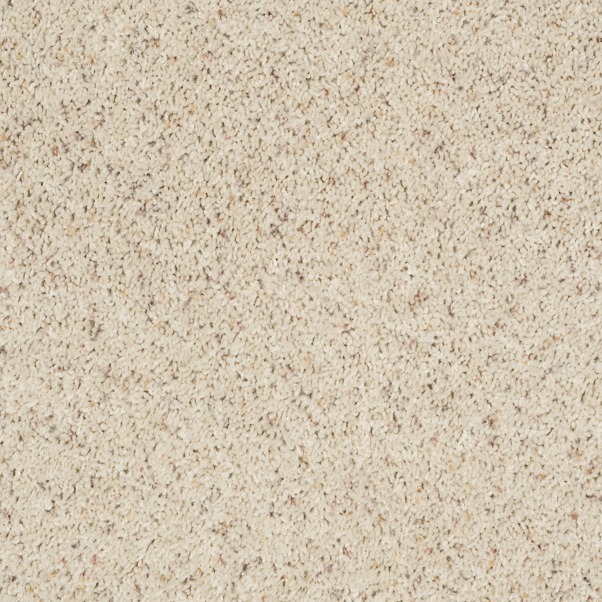 WONDEROUS LIFE (B) OUTER BANK MAIN