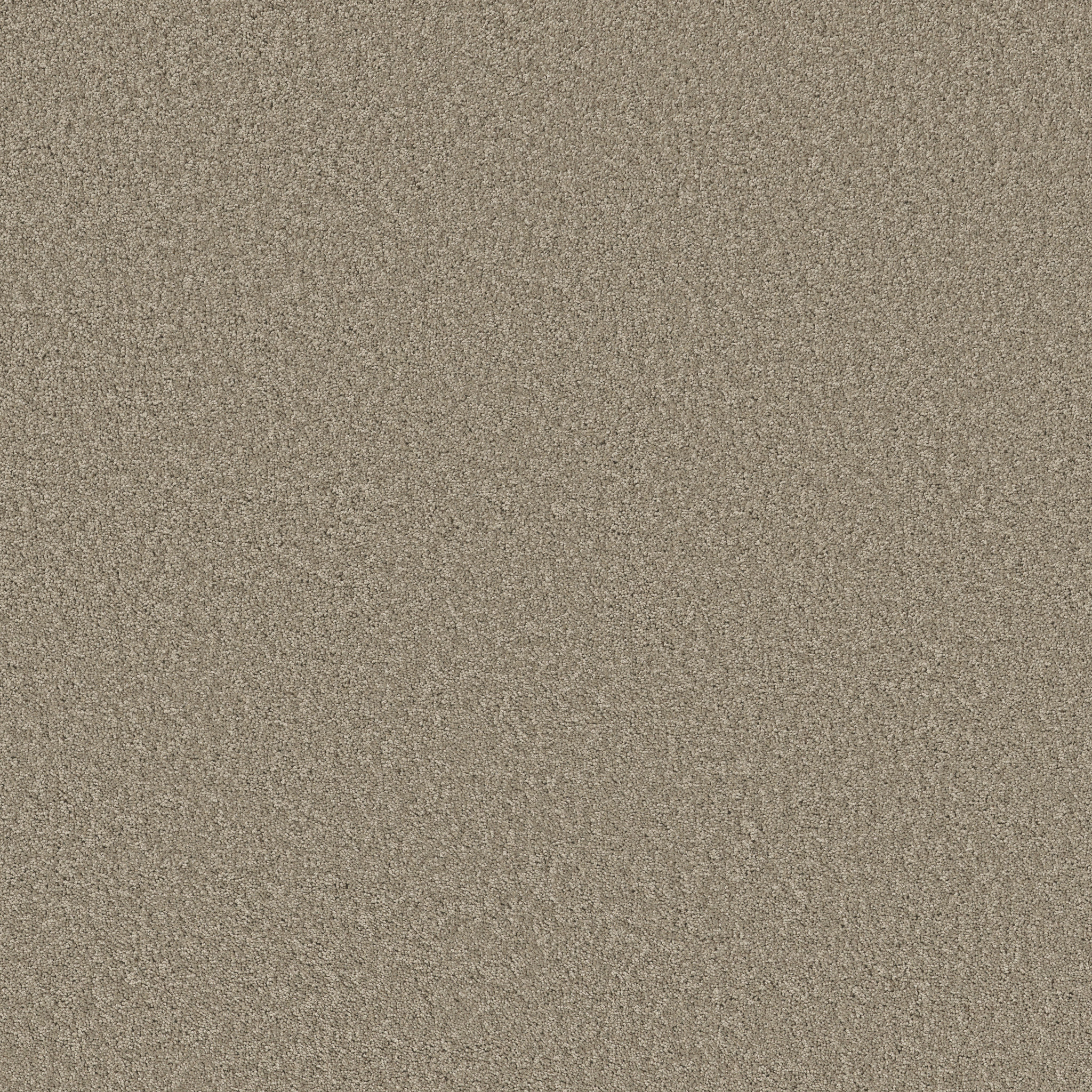 LAGUNA BEACH MOCHA CREAM MAIN