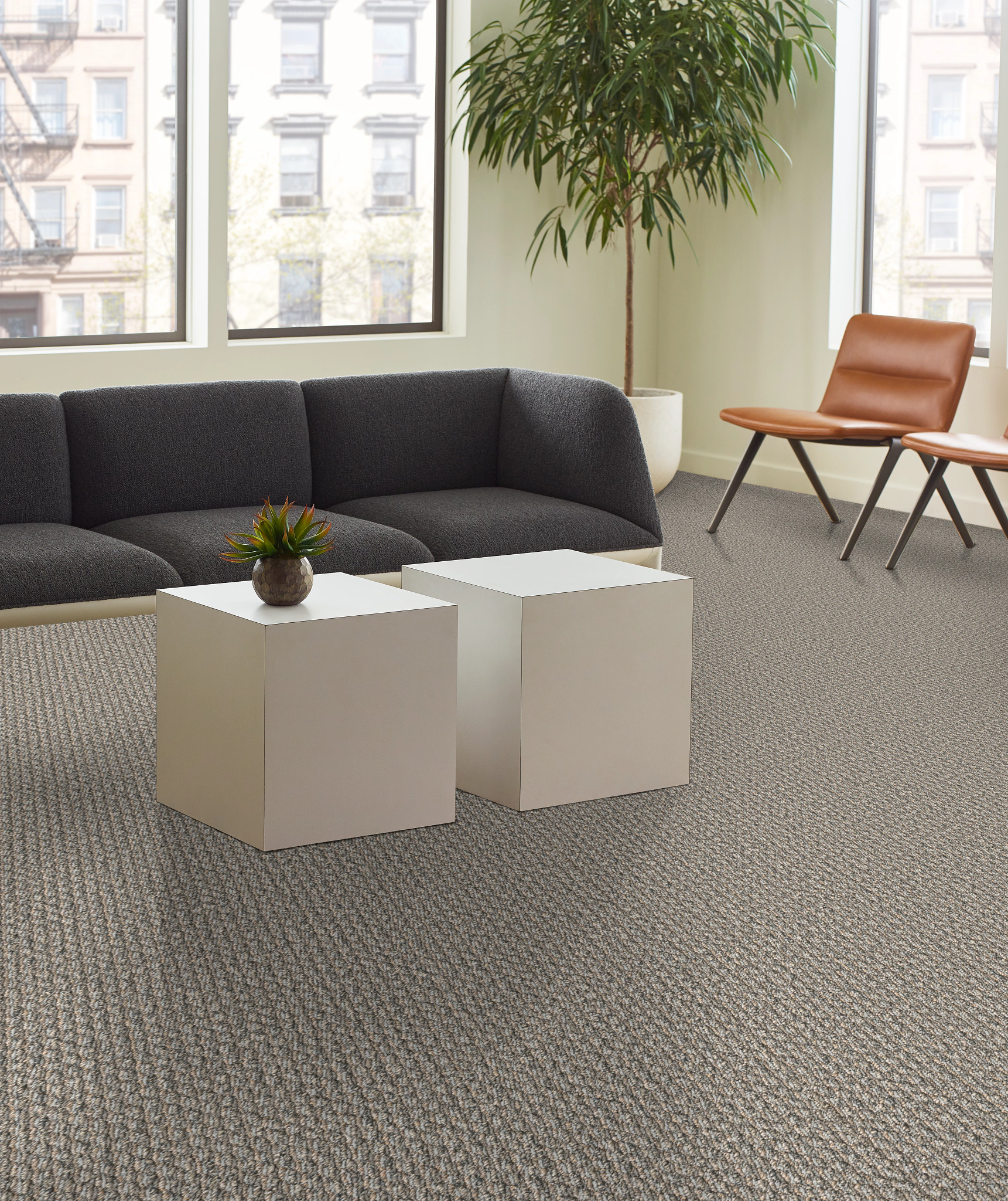 PRELUDE-54990-FORERUNNER-00501-room-image