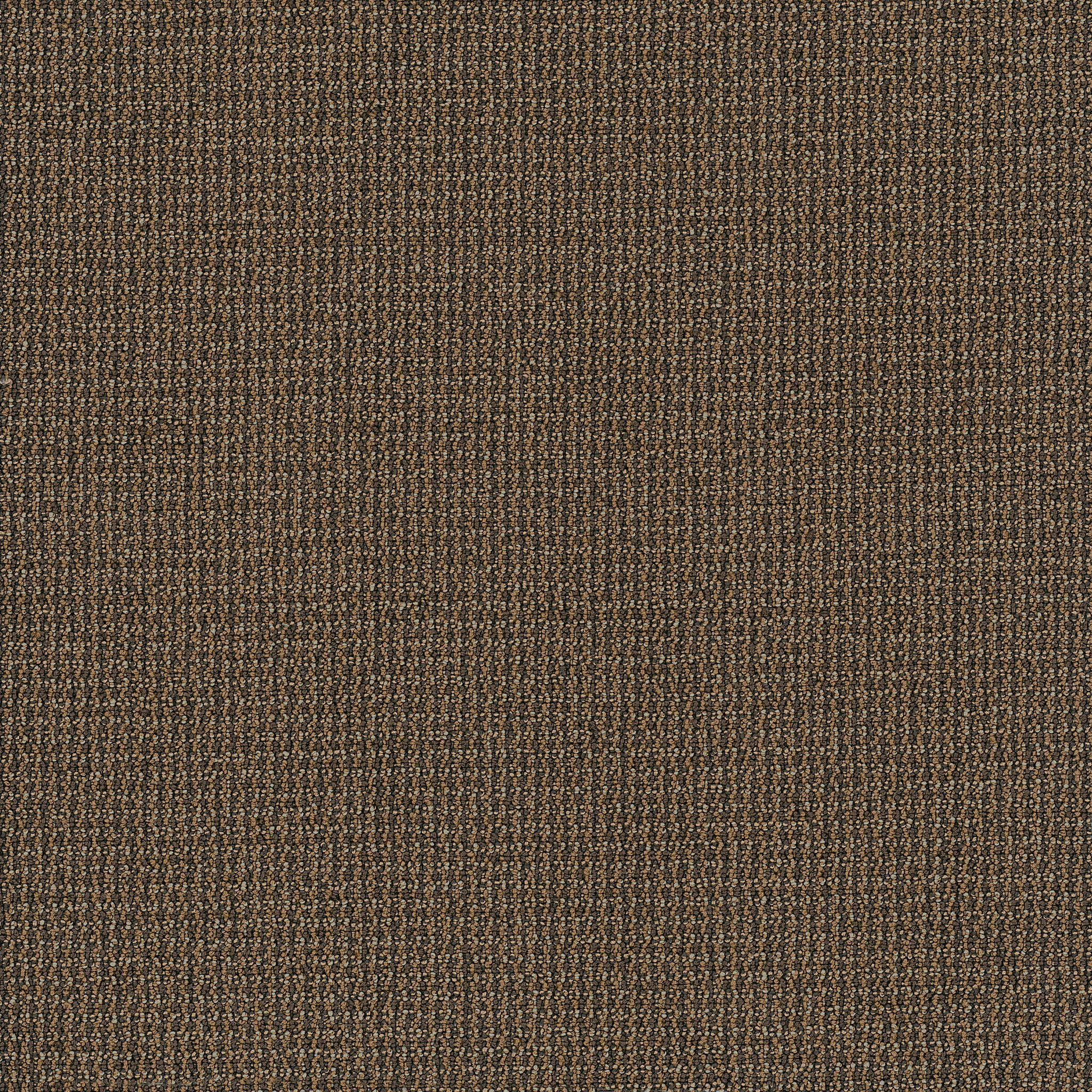 DATELINE-TODAY-54823-EXCLUSIVE-00710-main-image