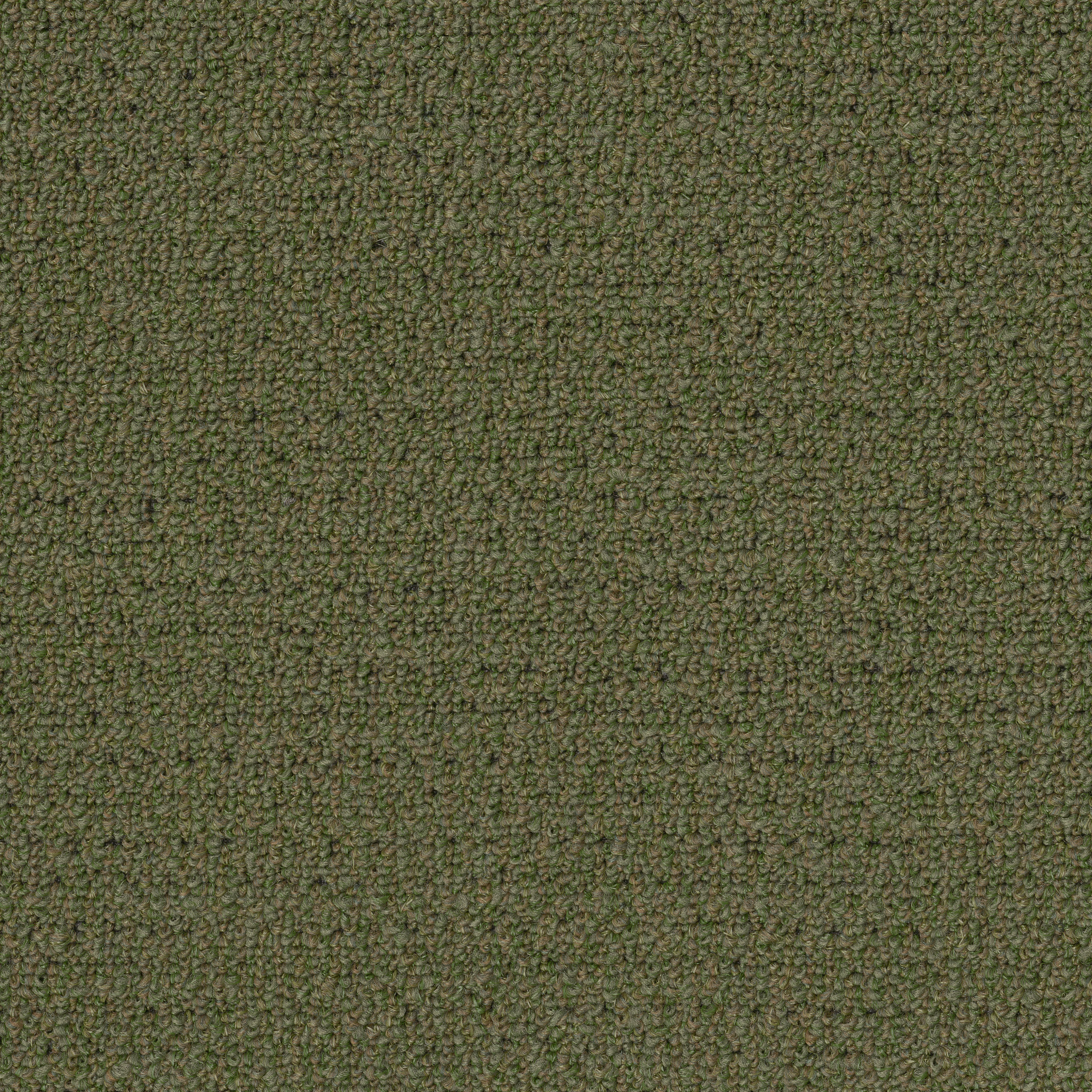 GARDENSCAPE-(T)-54629-HOLLY-LEAF-00301-main-image