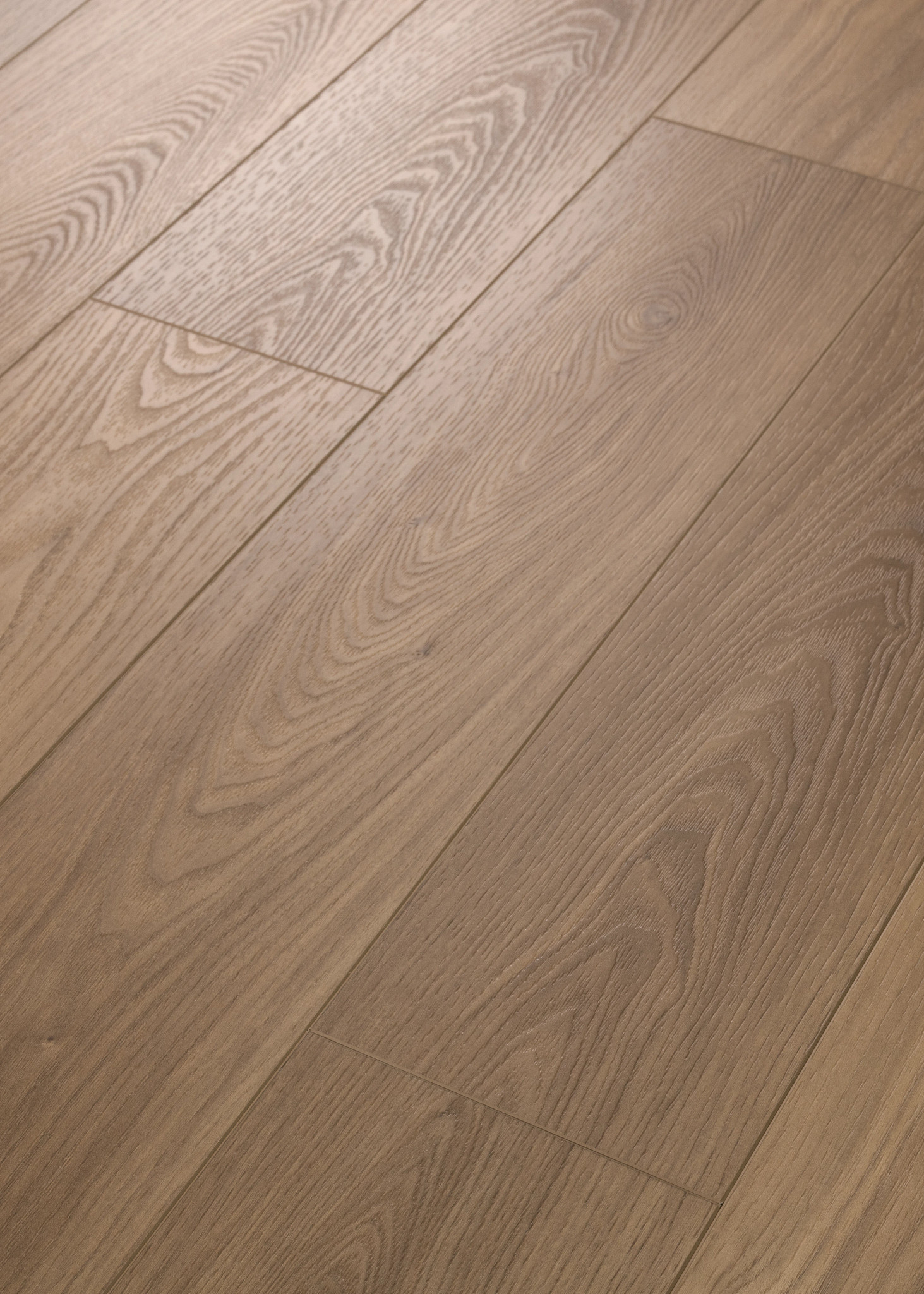 HOMEBOUND CINNAMON ANGLED