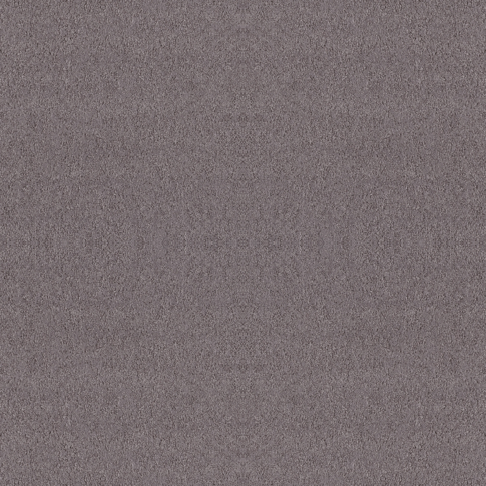 ALLURING CANVAS DEEP CONNECTION MAIN