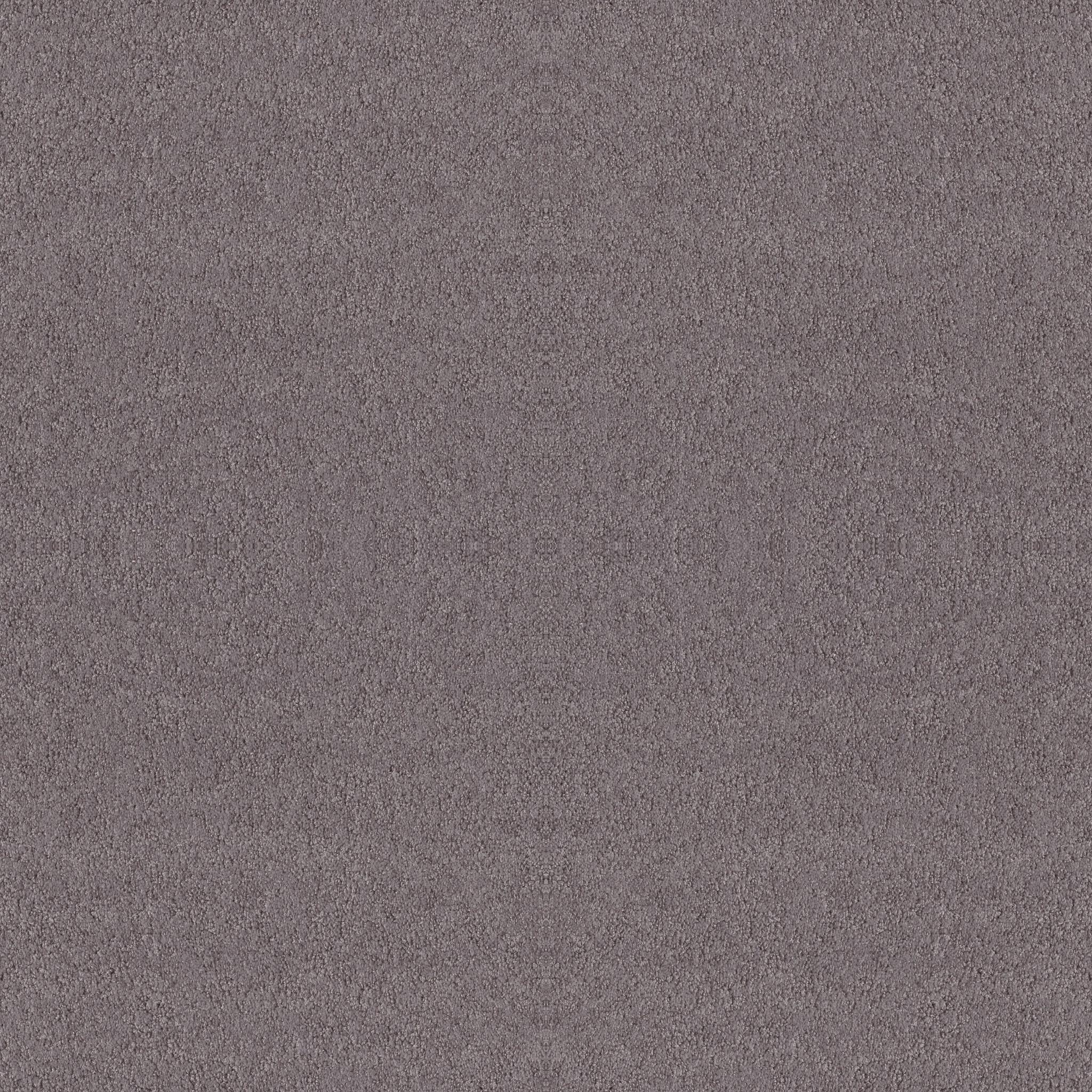 Alluring Canvas by Shaw Floors