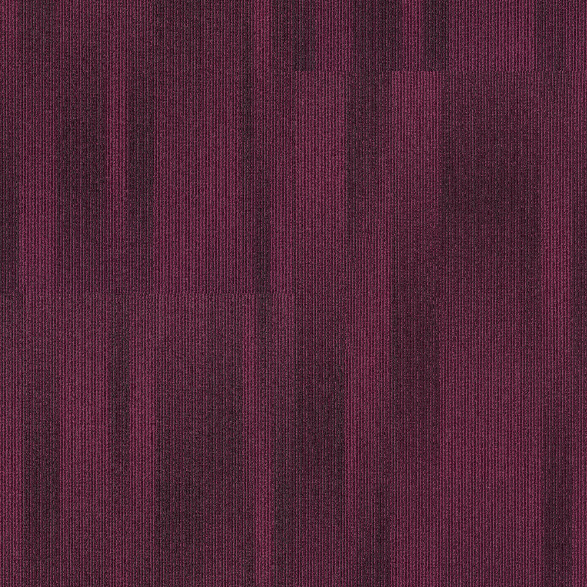 ILLUMINATE-54942-VIBRANT-00910-main-image