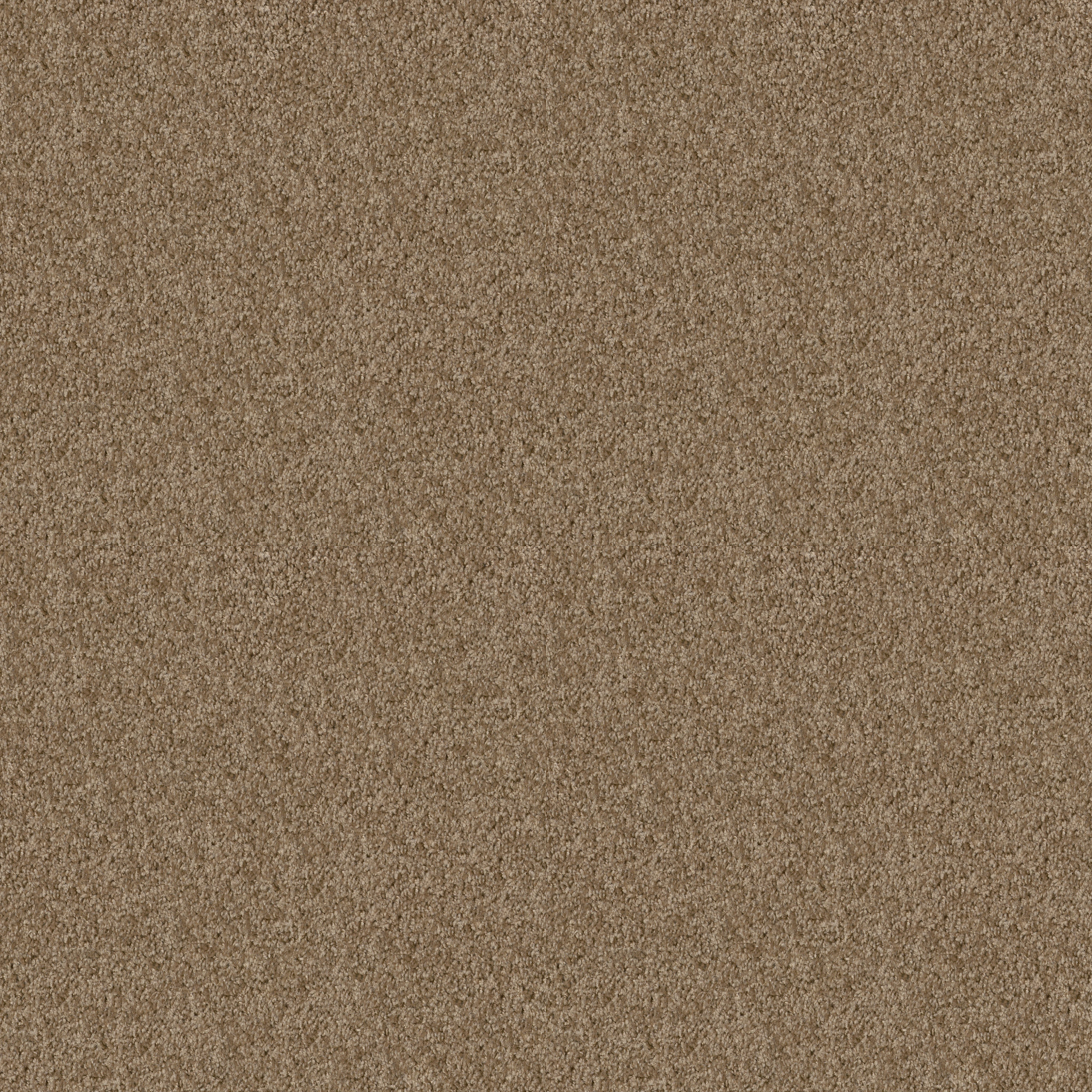 BRIDGEWOOD SIERRA HILLS MAIN