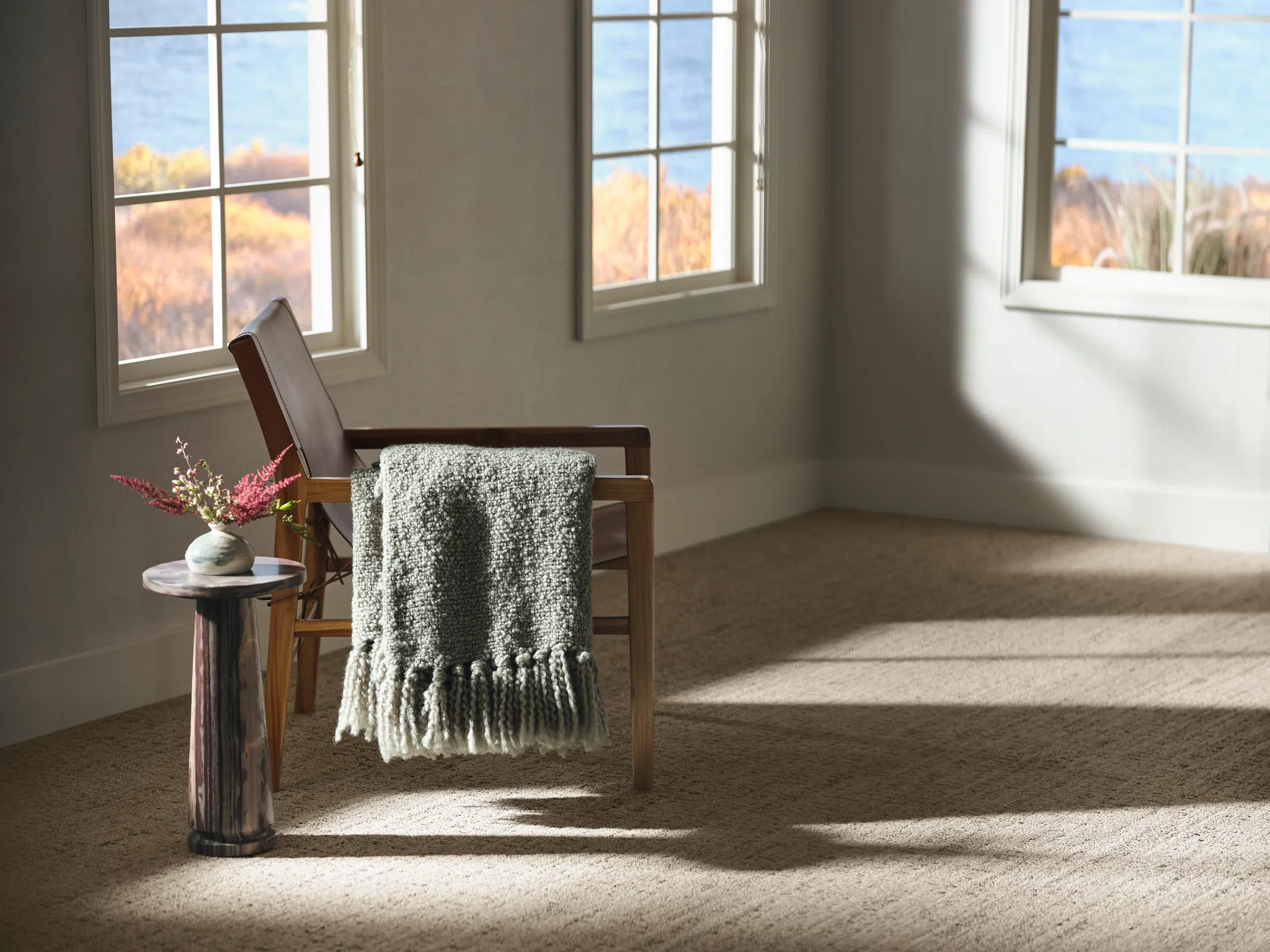 Cozy living room with beige carpet flooring and wooden chair