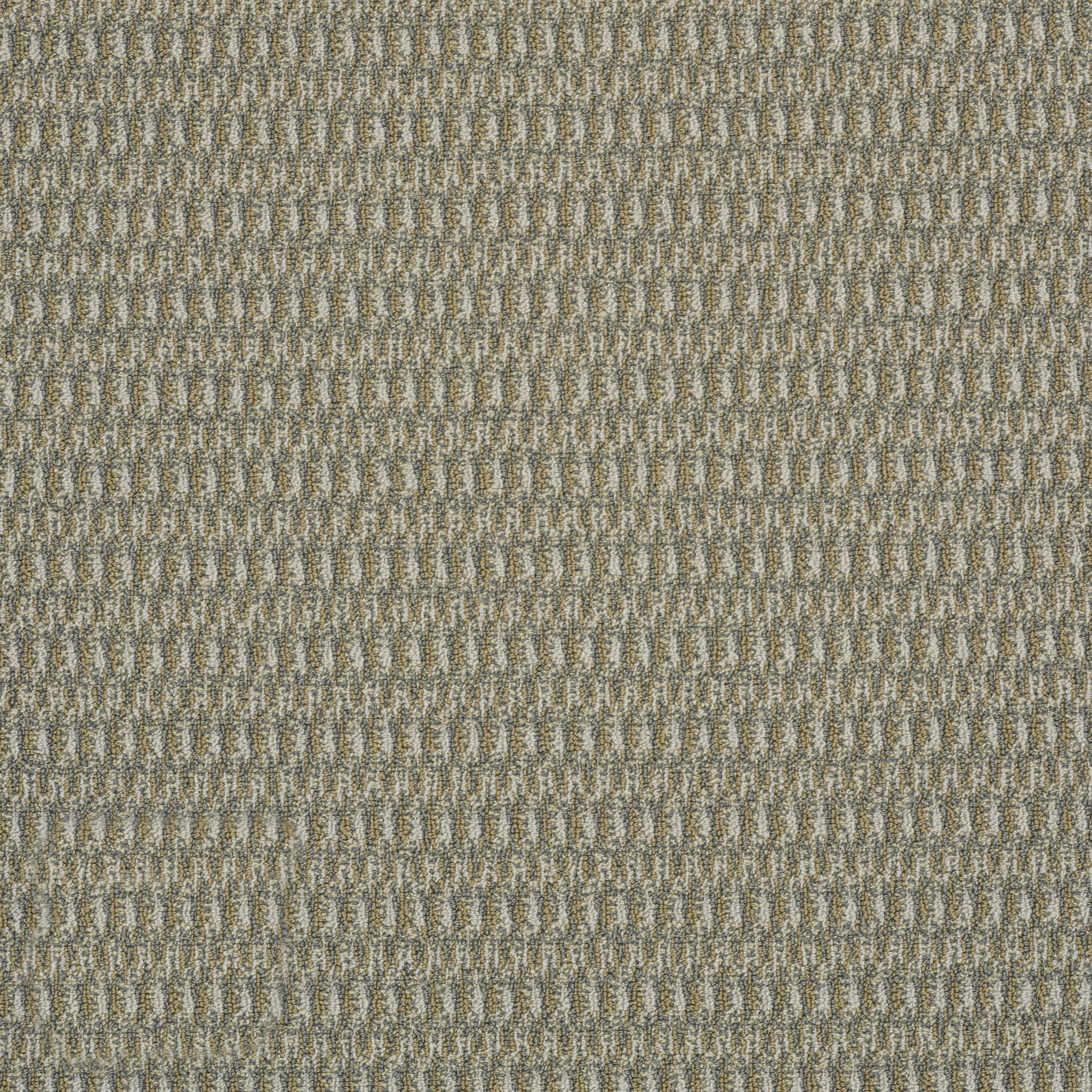 IN-HARMONY-54578-ON-TONE-78301-main-image