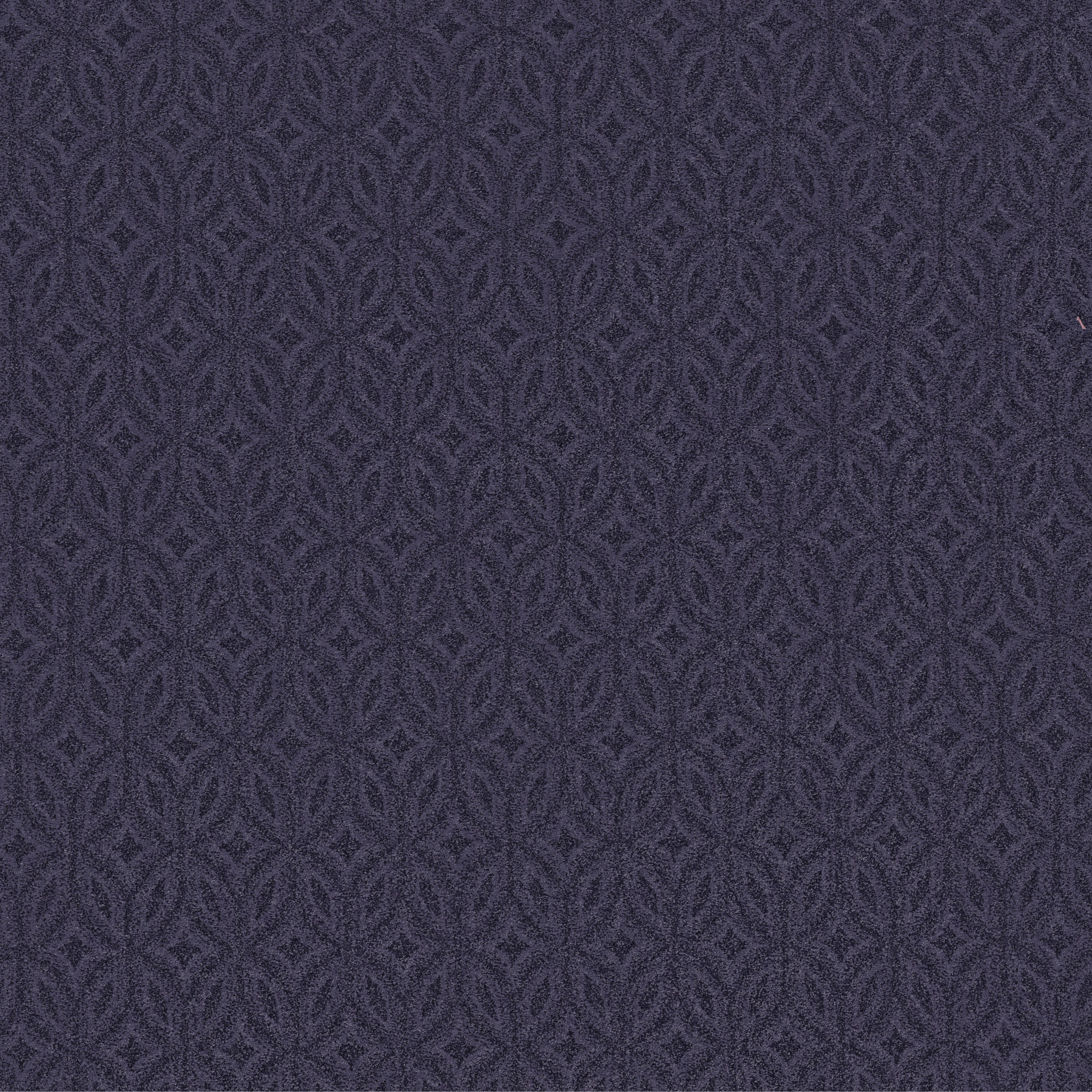 ENLIGHTENED DARK LILAC MAIN