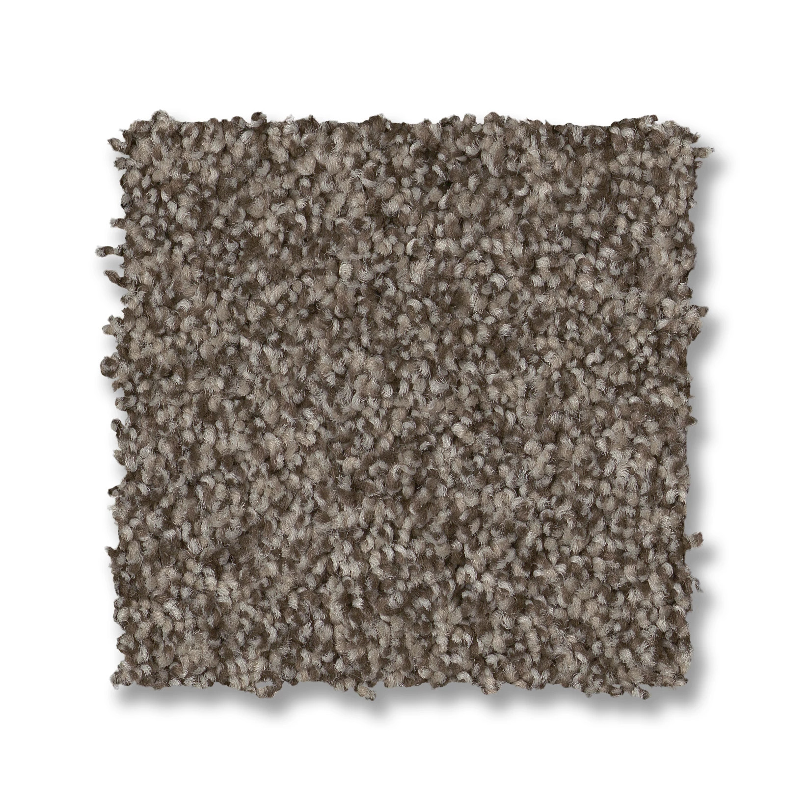 TERRA NOVA ARROWHEAD SWATCH