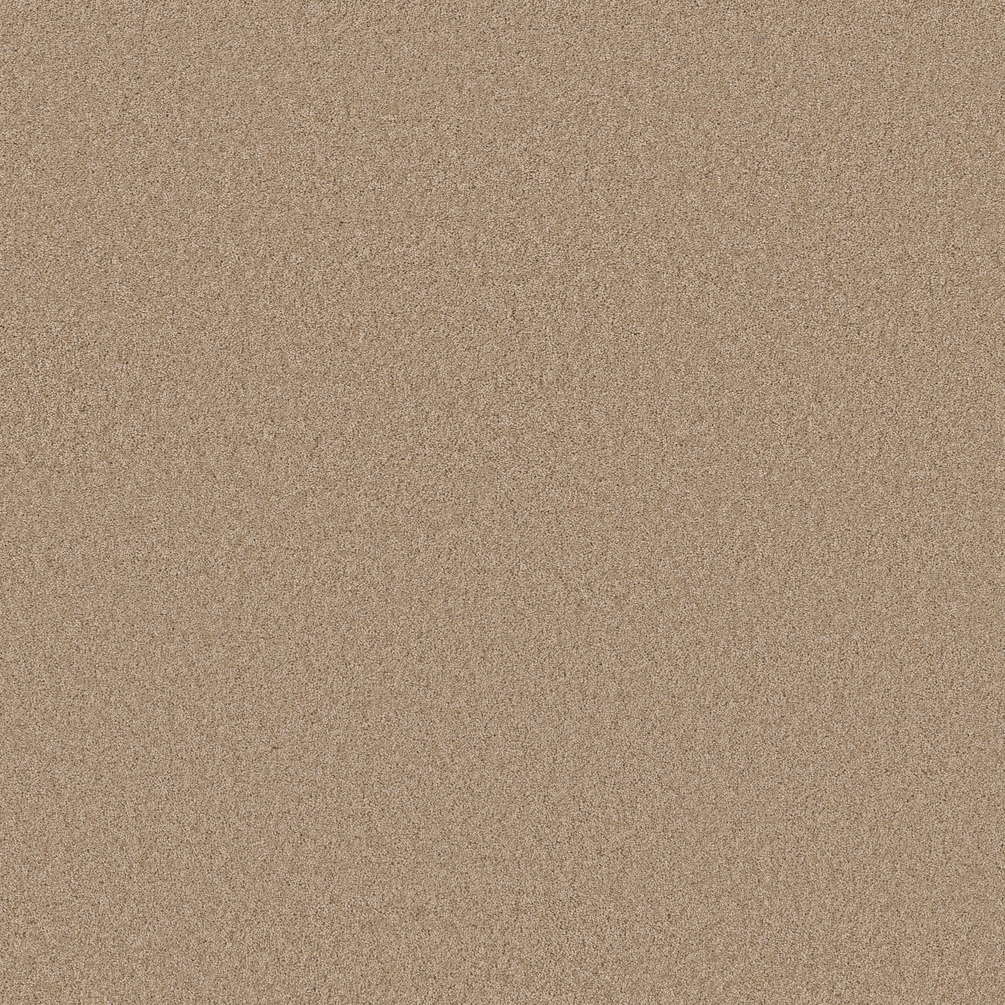 ENCHANTING BRULEE MAIN