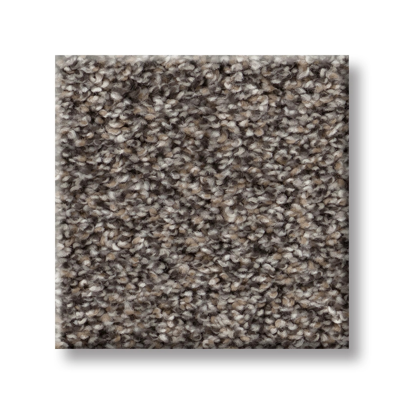 RENEWED ENERGY II SHADOW SWATCH