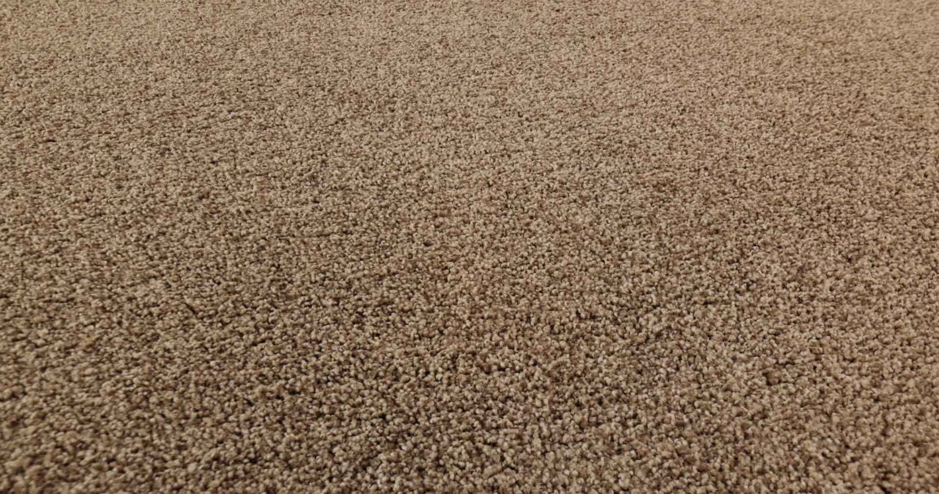 COZY HARBOR I RAW WOOD 360PROD