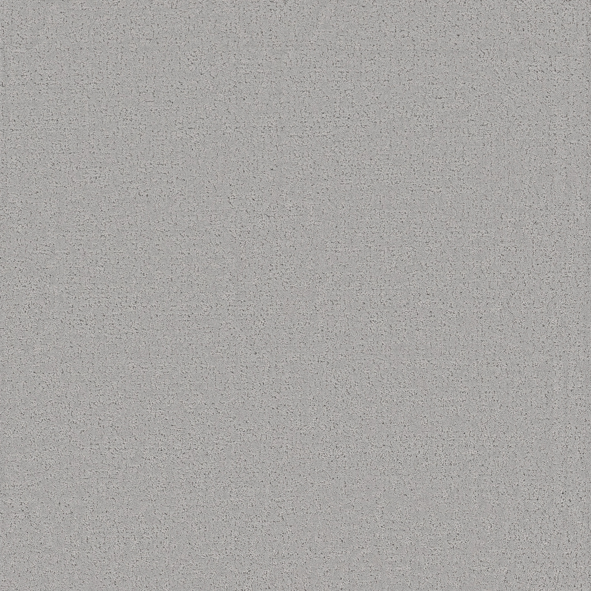 REFINED CANVAS POLISHED SILVER MAIN