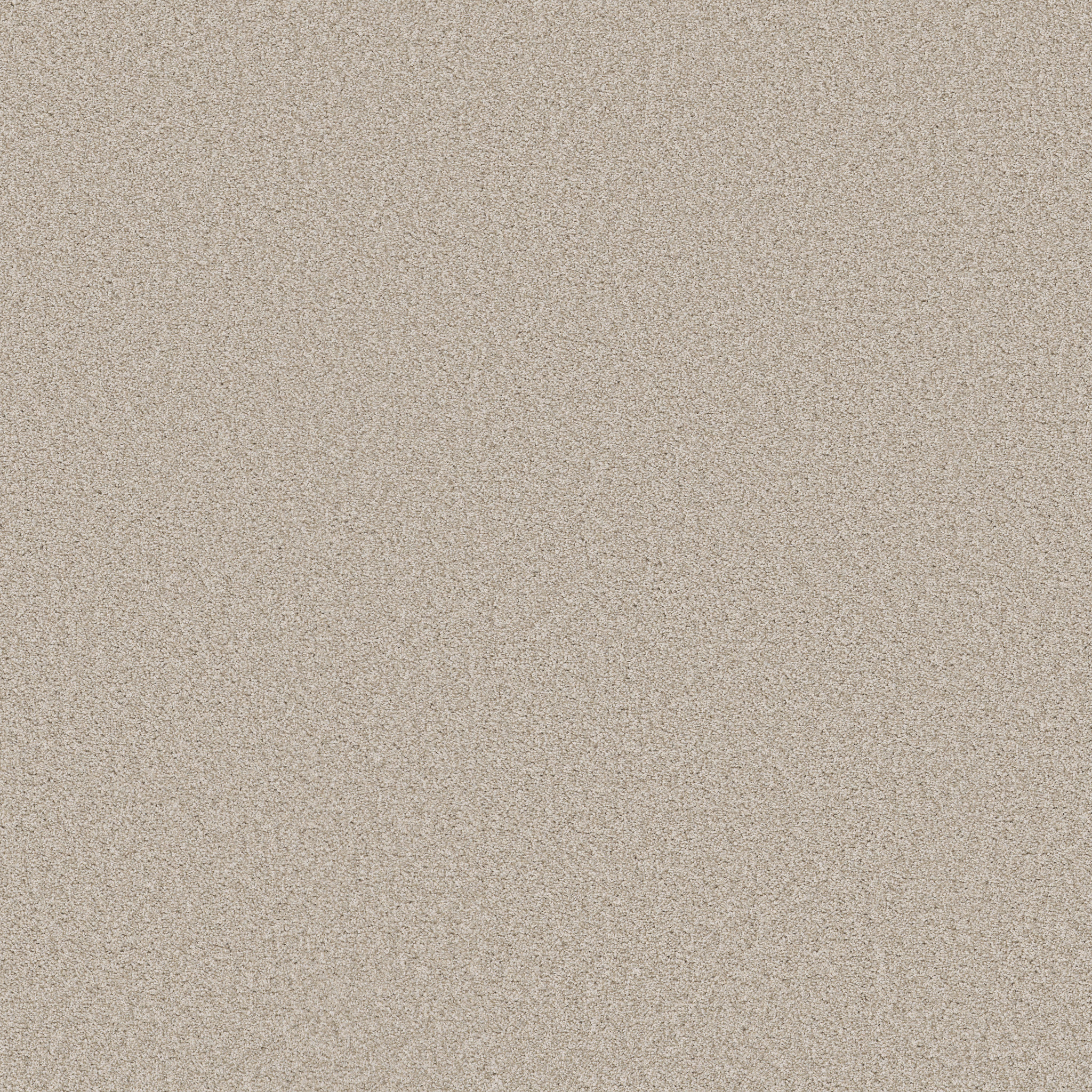 HARMONIOUS I CHAMPAGNE TOAST MAIN