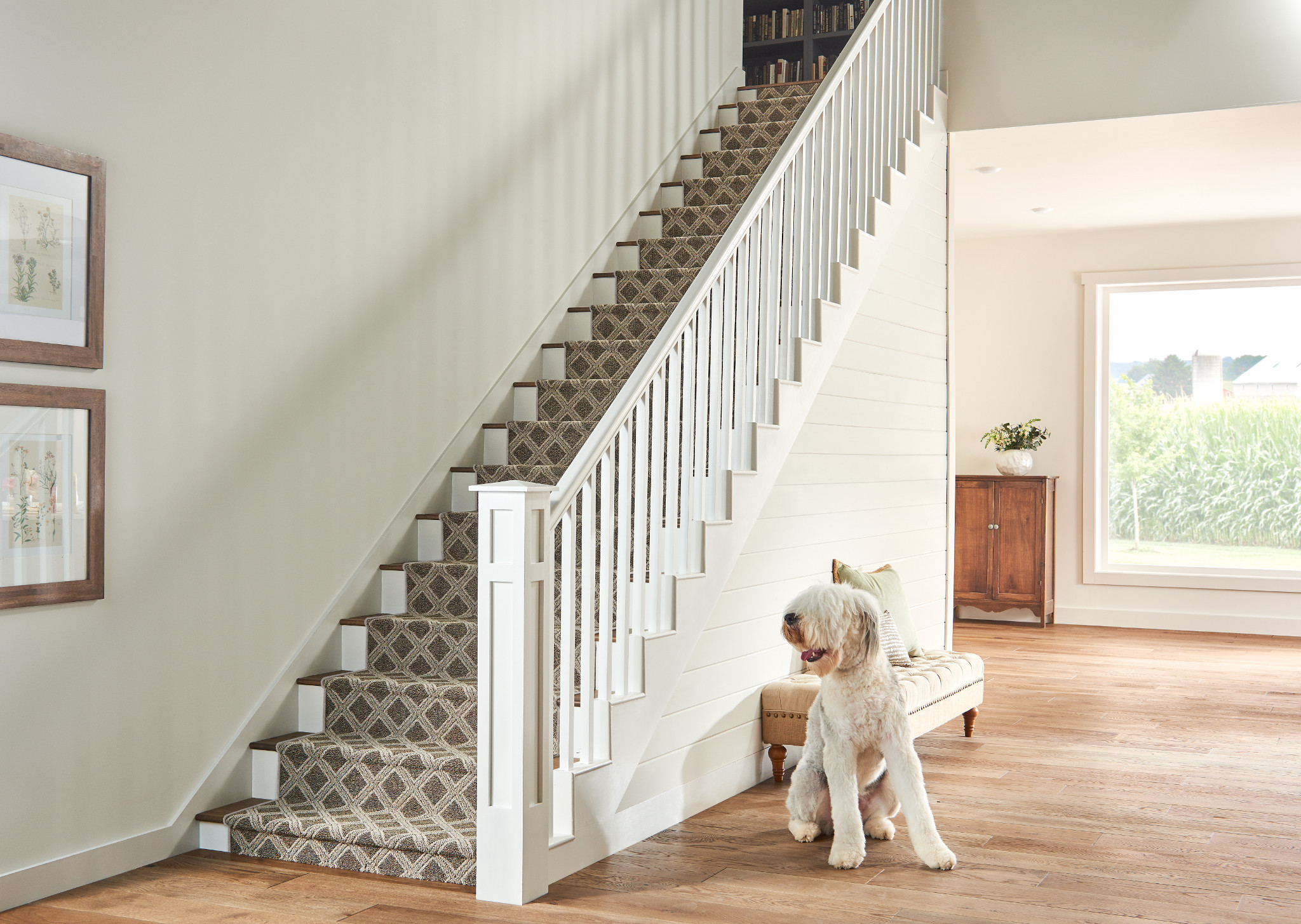 SCOUT DESERT PALM StaticImage01