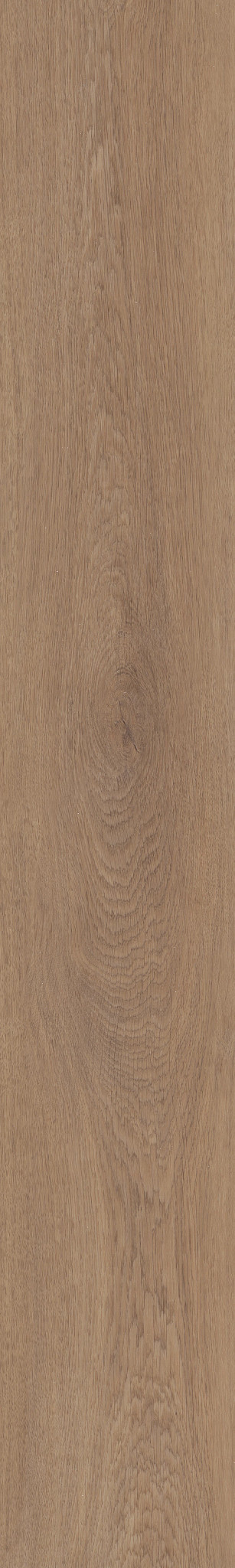 BRIARD TUSK OAK 1TO1