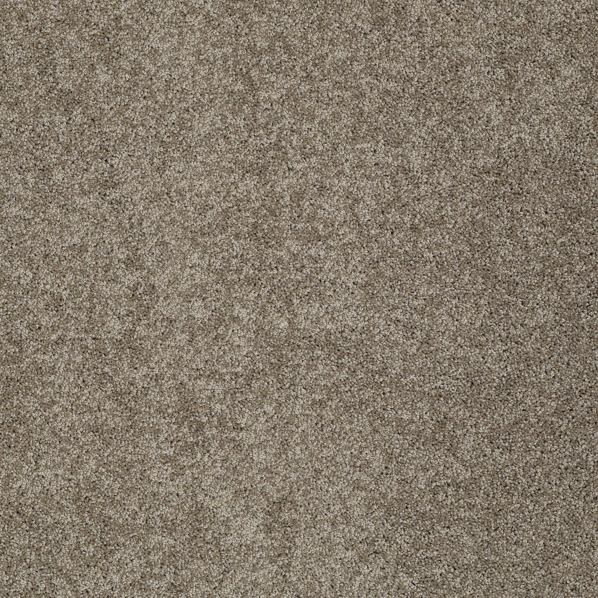 AG TIMELESS MUSHROOM MIST MAIN