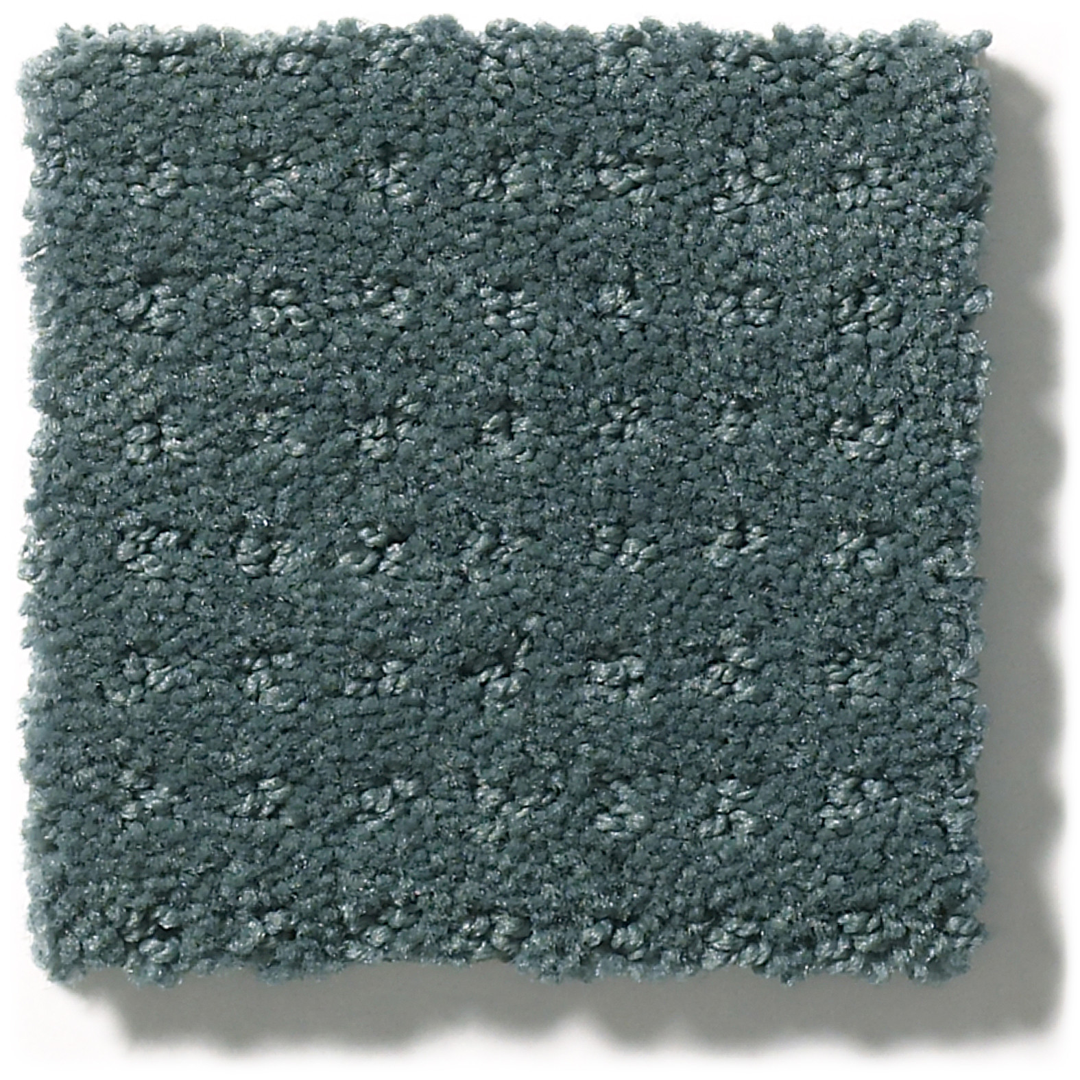 PERPETUAL MOVE OCEANSIDE SWATCH