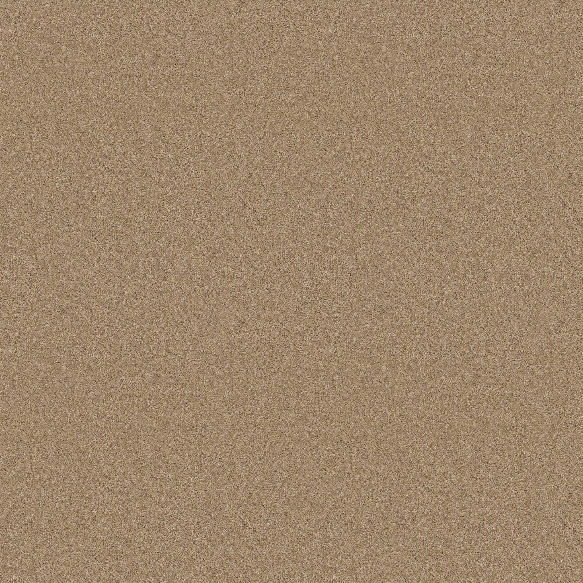 ELEGANT BEAUTY NATURAL MAIN