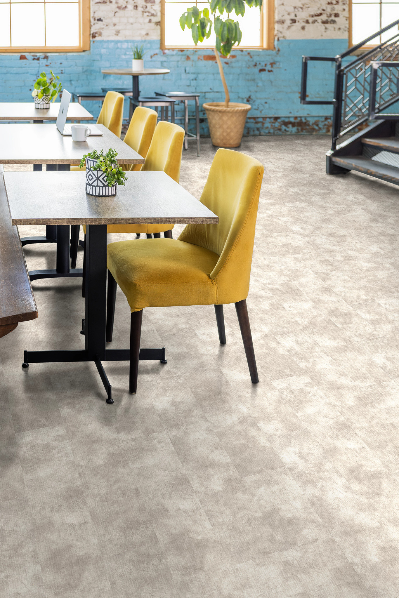 CODEX-5609V-VISION-01133-room-image