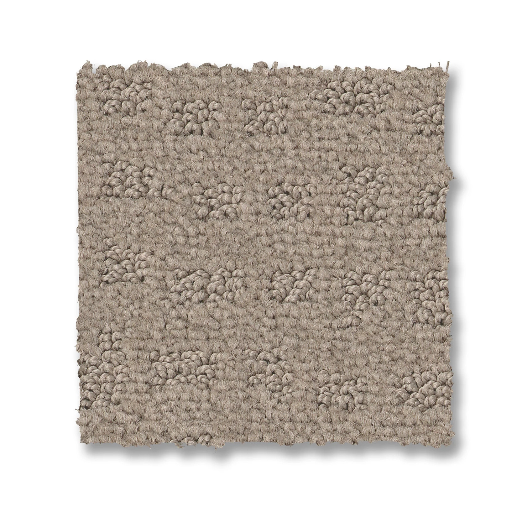 SOLSTICE BARISTA SWATCH