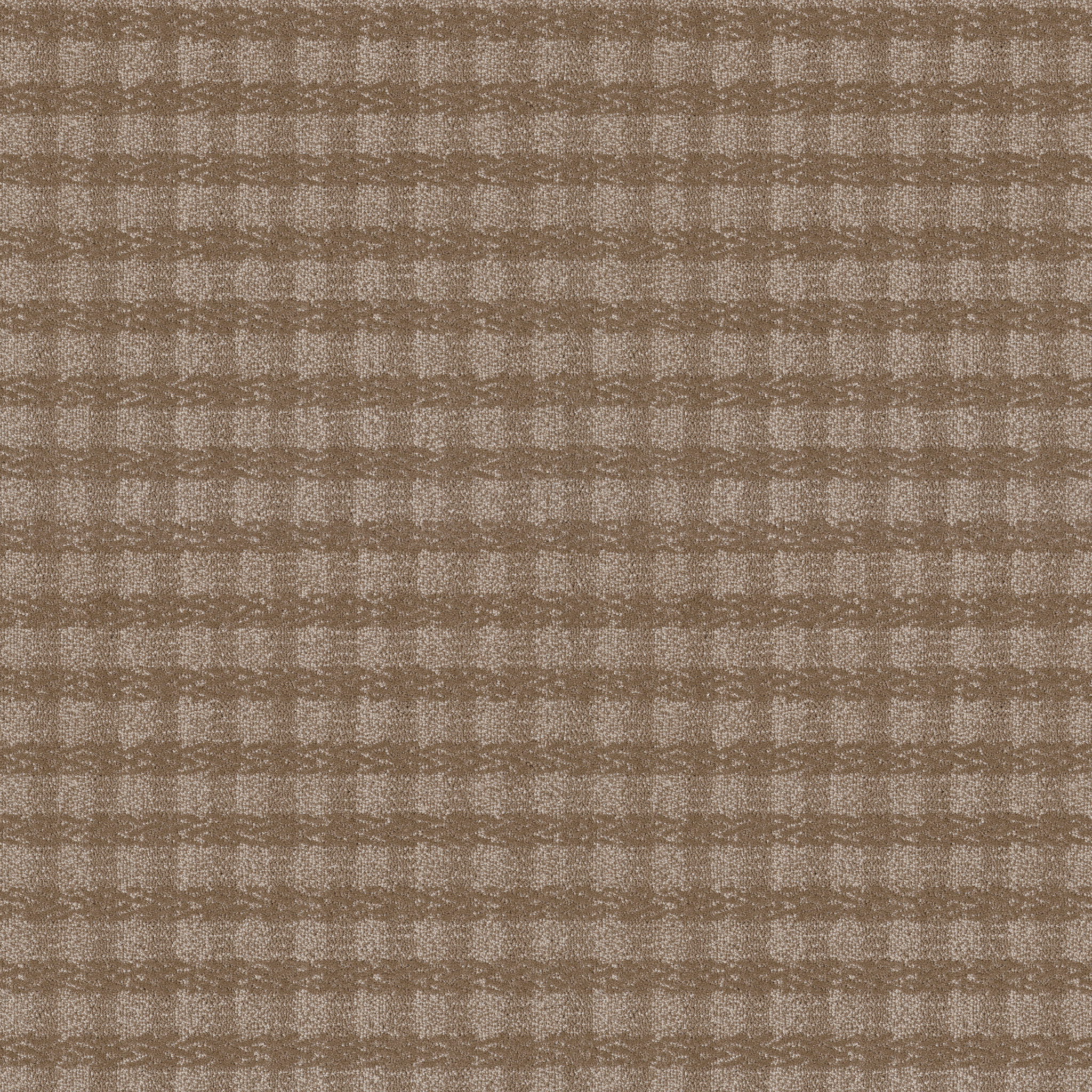 Imagination - 100% ANSO® High Performance Nylon in Bungalow