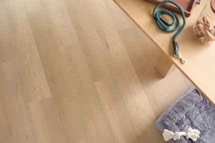 Light Wood Look LVP Flooring - 49x7.13 inch Coretec Residential SPC Light wood look luxury vinyl plank flooring in a modern room with a dog leash and plant on a wooden table