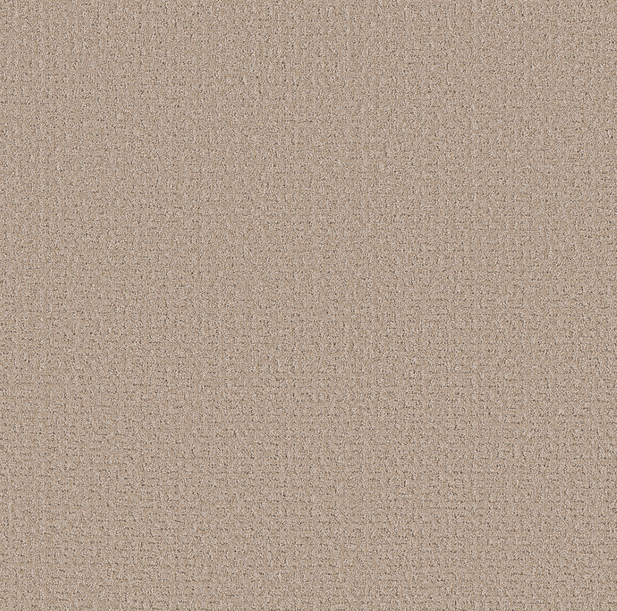 SECRET JOURNEY BAJA MAIN