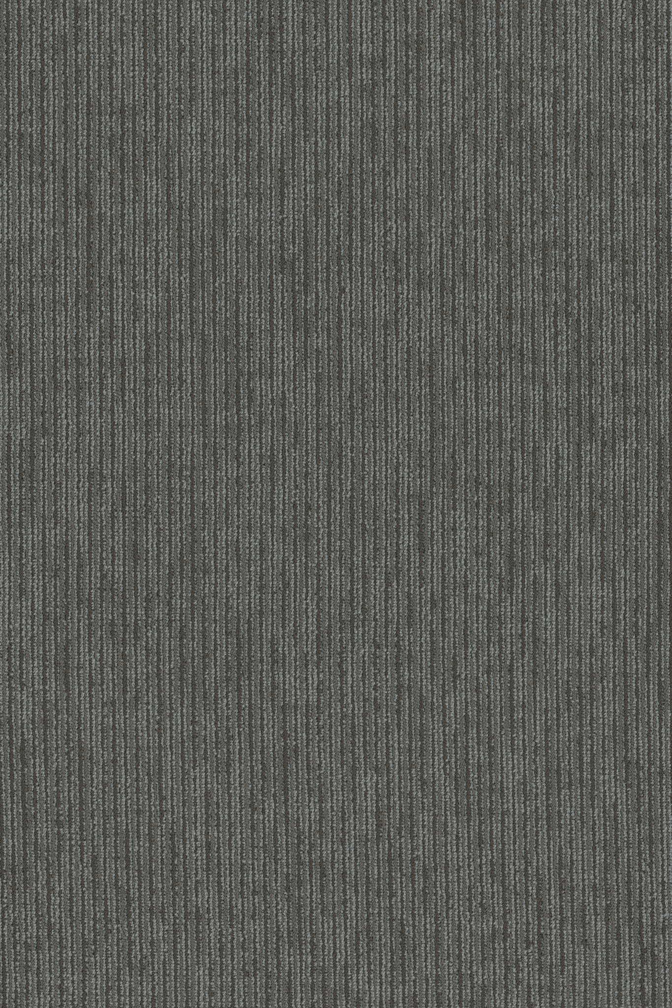 FUNCTION-54908-LIBERAL-00510-main-image