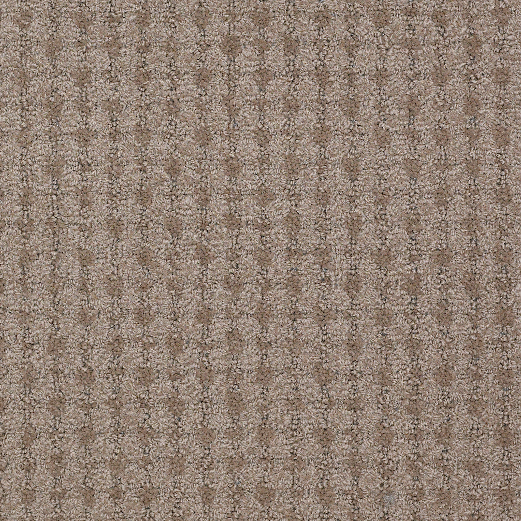 METRO-LIFE-54411-MUSEUM-SCHOOL-11700-main-image