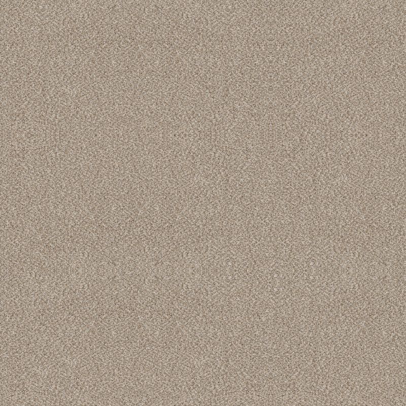 Trusplendor 5E464 Broadloom Carpet in Stainless color, 12ft wide, made of 100% PET fiber