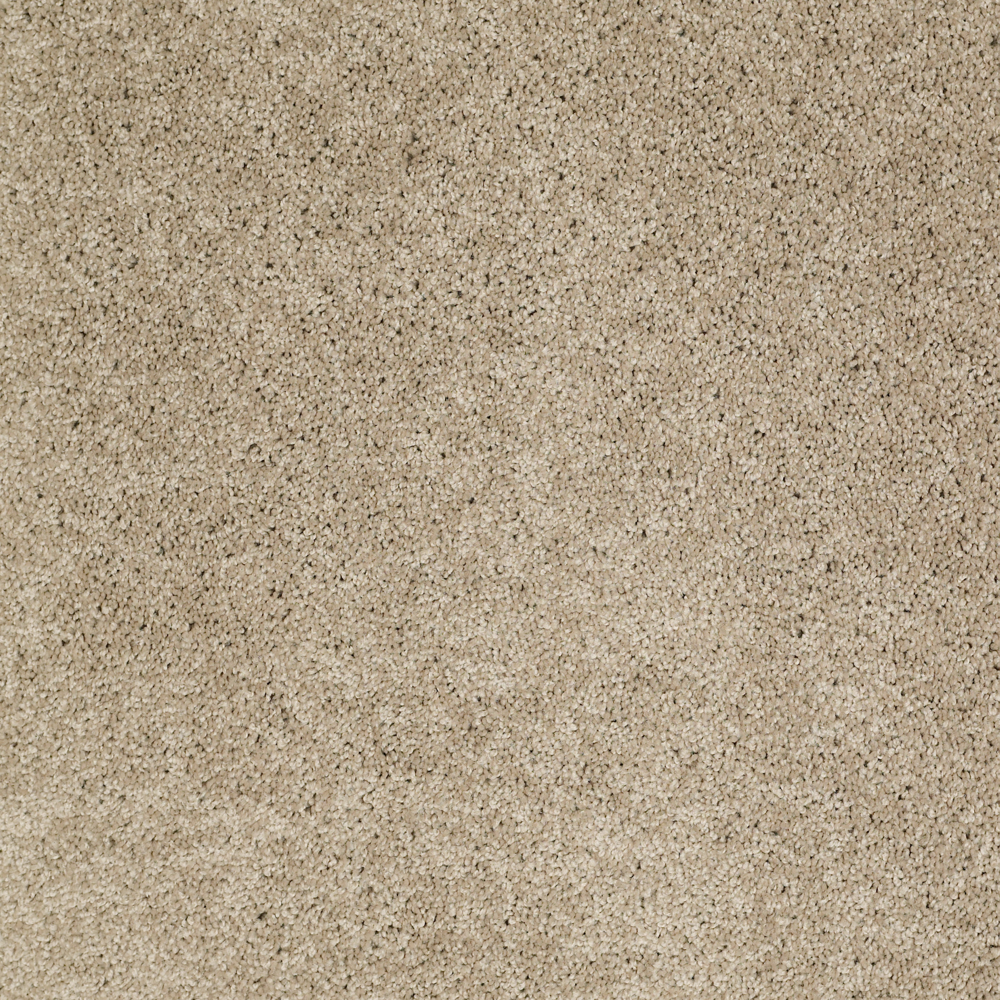 SERENDIPITY I OYSTER MAIN