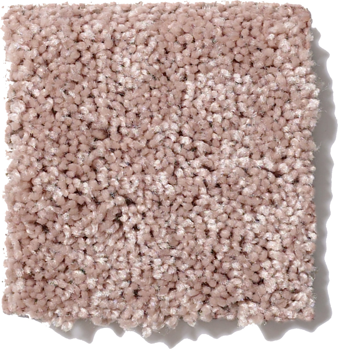 ROYAL PORTRUSH III 15' HONEYCOMB SWATCH