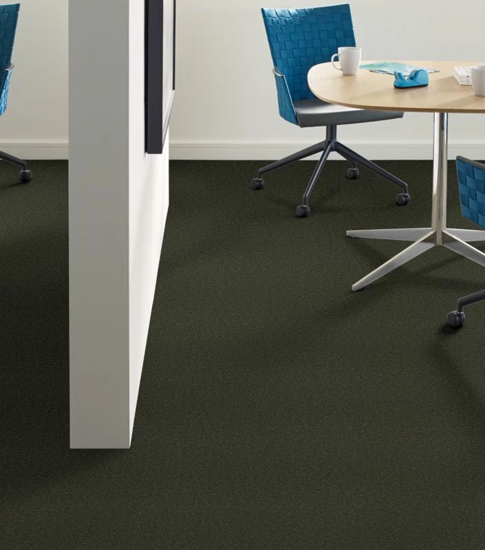 EMPHATIC II 36 54256 THYME 56314 room image