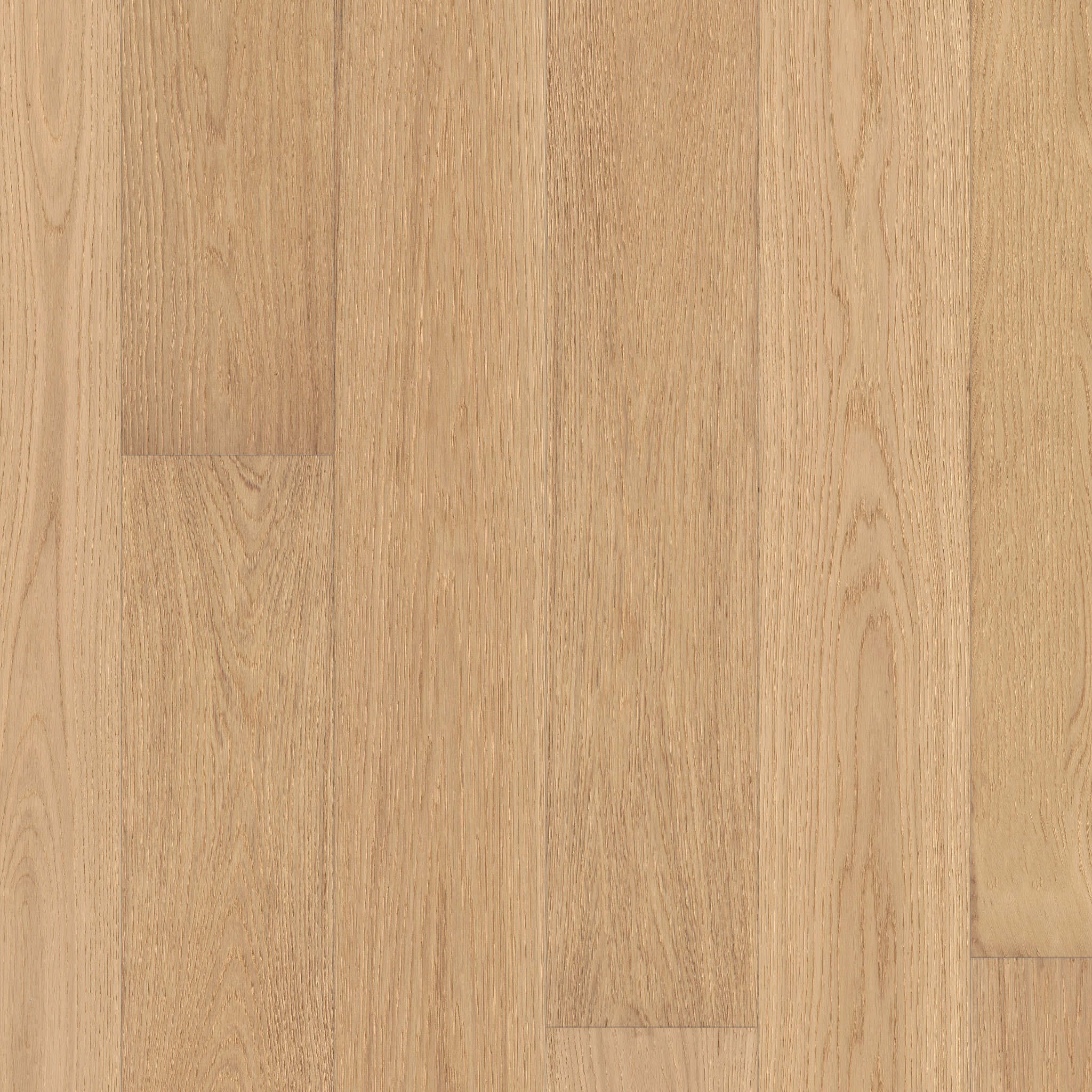 CARPENTRY OAK SUNLIT MAIN