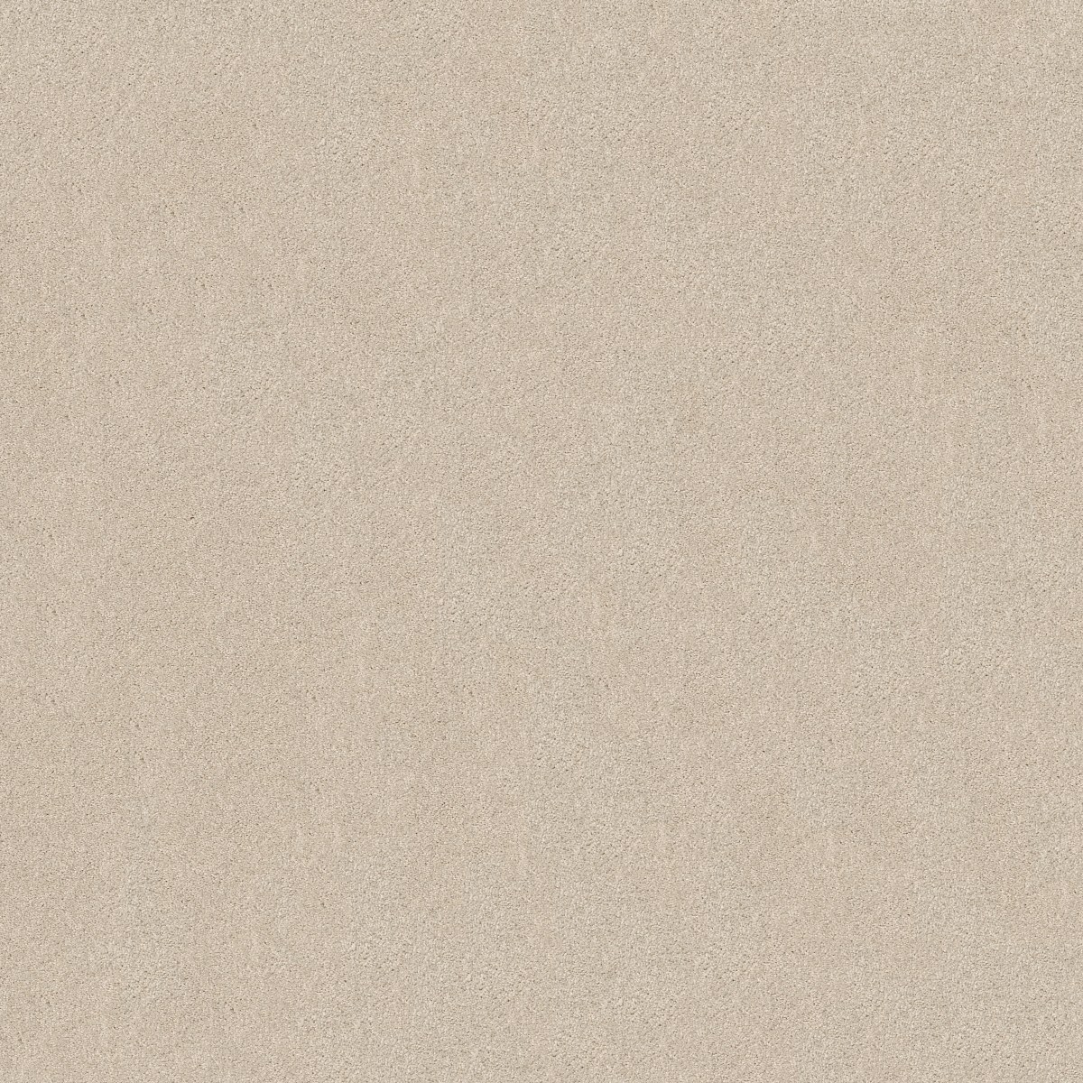 Shaw Floors KEEN SENSES II — ALABASTER
