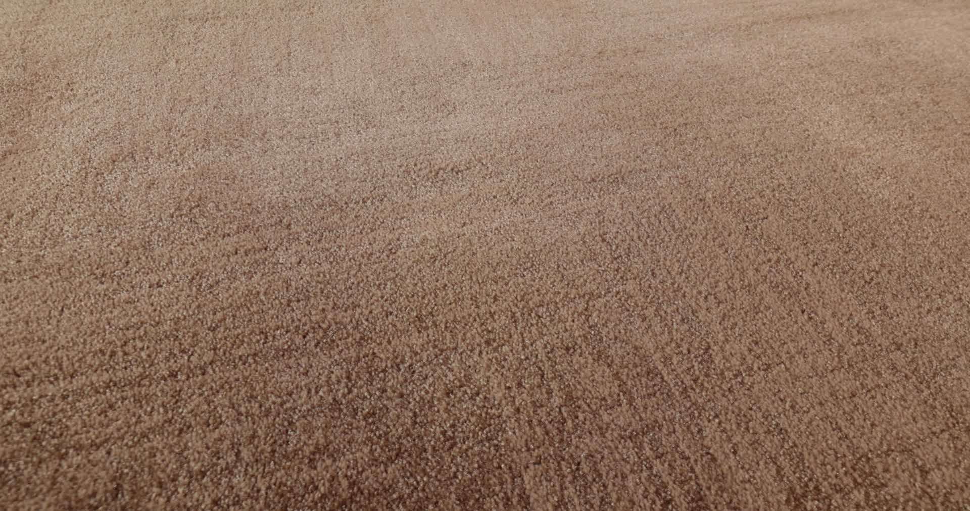 INSIGHTFUL JOURNEY SUNBAKED 360PROD