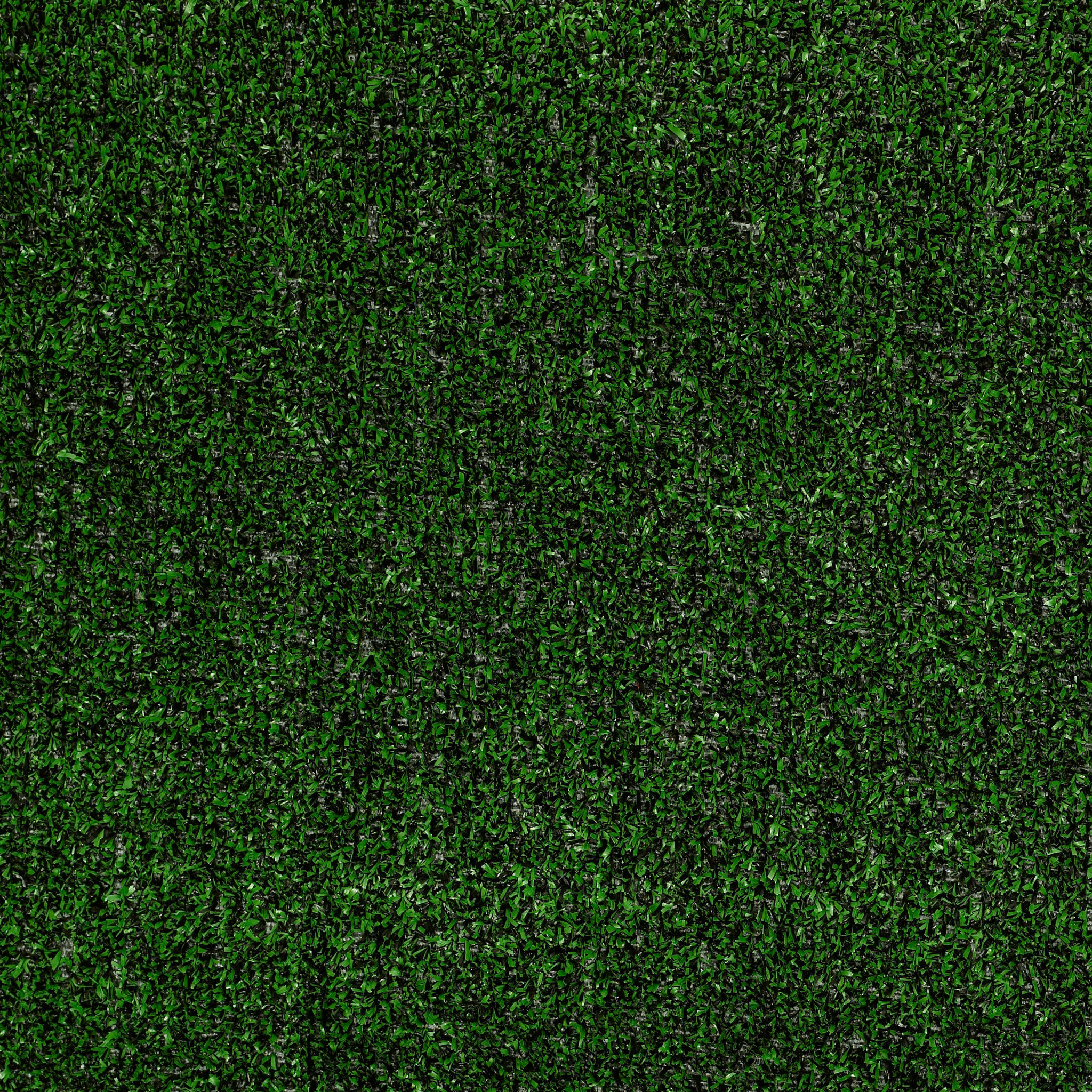 TACTIC-(T)-6'-RR-54591-HOLLY-LEAF-00310-main-image