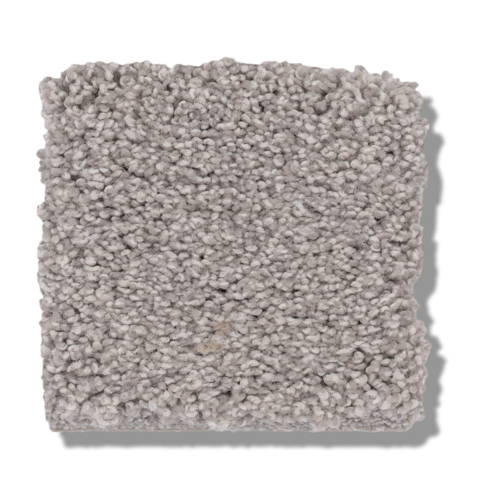 COZY HARBOR I COLD WINTER SWATCH