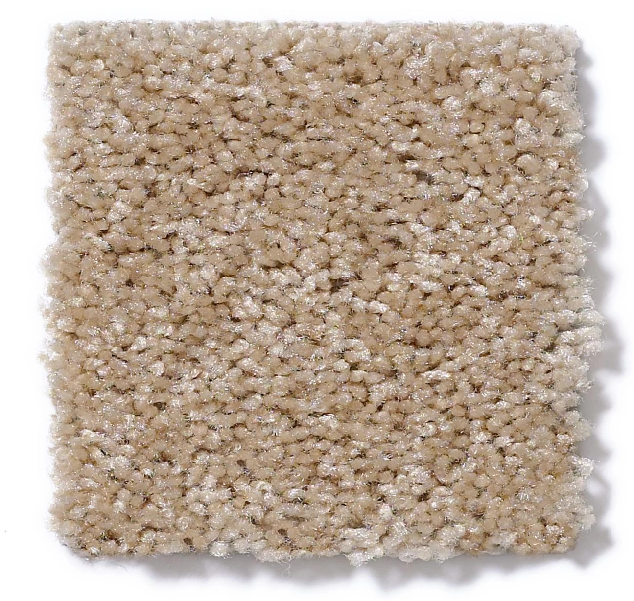 JET SET TOASTED COCONUT SWATCH