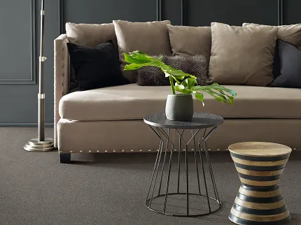 Shaw Floors Soft Surface Flooring in Modern Living Room Scene Modern living room with beige sofa, black and beige pillows, metal floor lamp, and soft surface flooring from Shaw Floors